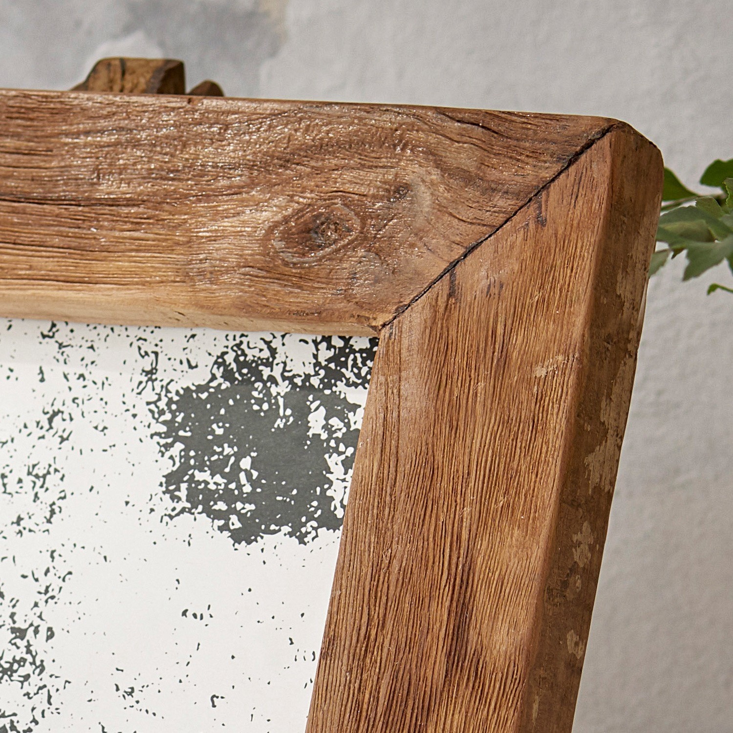 Cornice Nesta