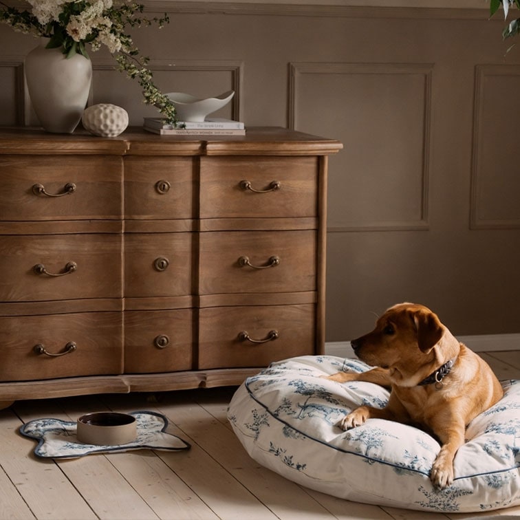 Cane marrone sdraiato su cuscino bianco decorato accanto a una cassettiera in legno vintage