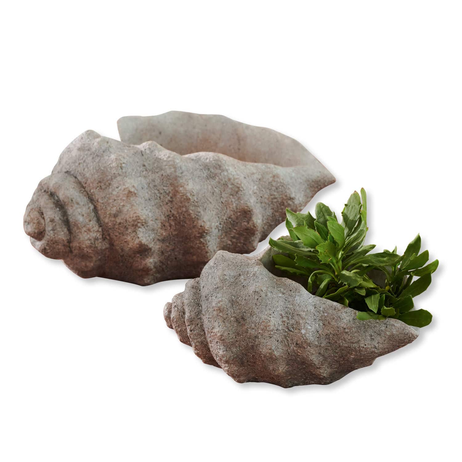 Coppia di portavasi Ejar