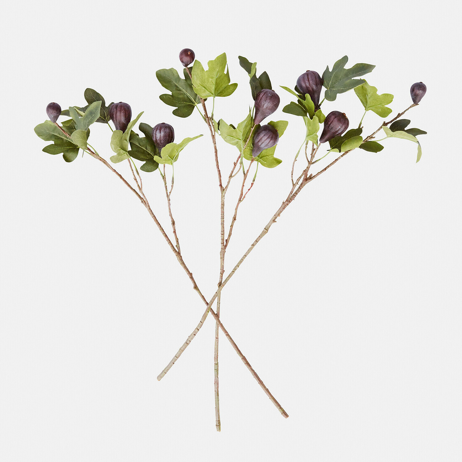 Set di 3 rami decorativi Alverino