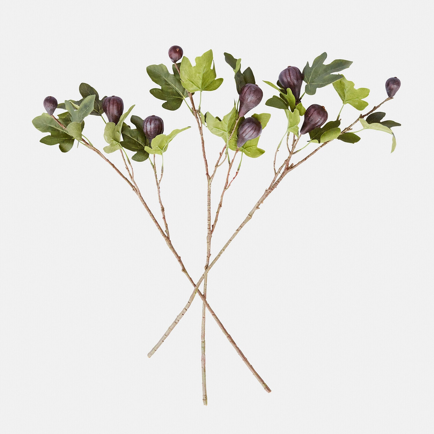 Set di 3 rami decorativi Alverino