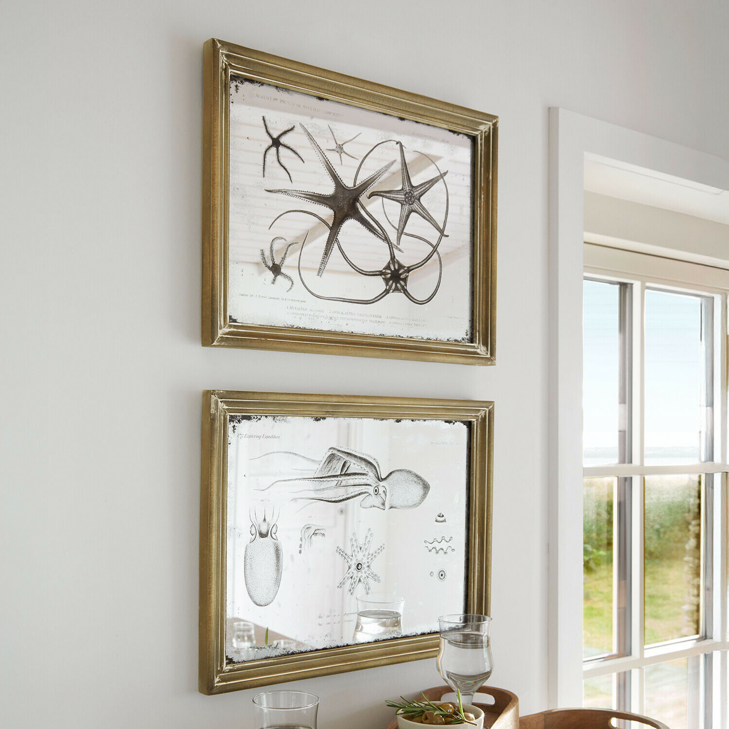 Due cornici dorate con specchio e illustrazioni marine, decorazione da parete in ambiente luminoso