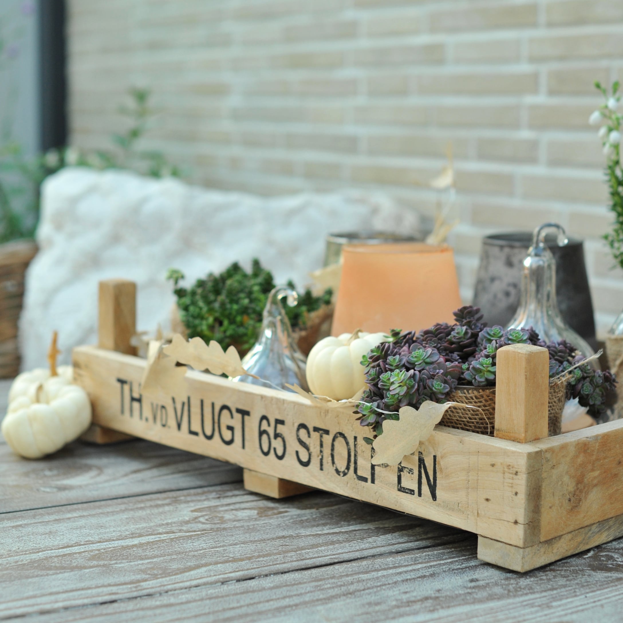 Cassetta di legno con decorazioni autunnali, zucche bianche e succulente su tavolo in legno