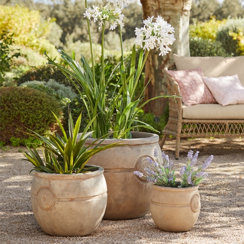 Tre vasi in terracotta beige con piante verdi e fiori bianchi in giardino all'aperto