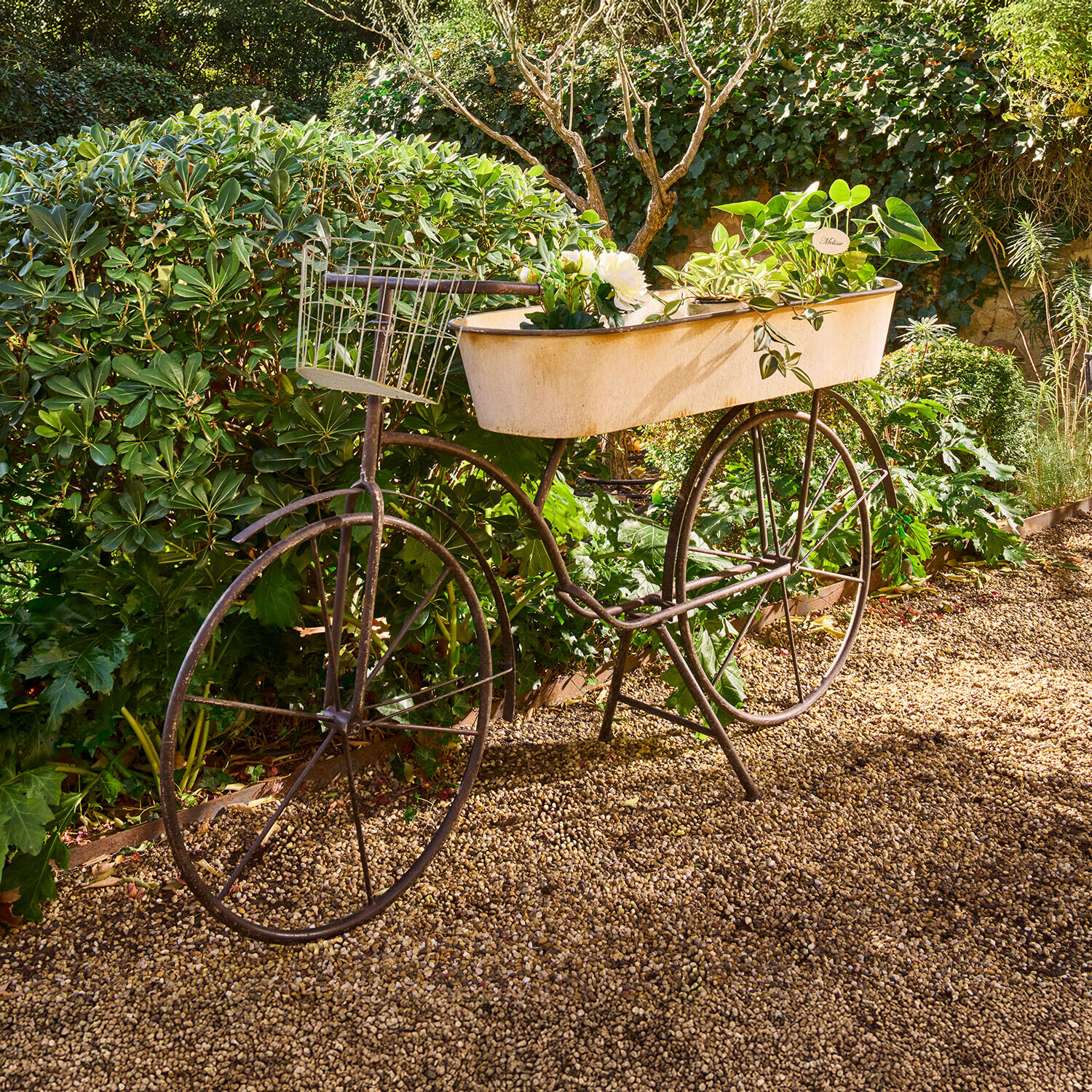 Tavolo per piante in ferro Donnérie Bicicletta decorativa in metallo con vaso bianco e piante verdi su sentiero di ghiaia in giardino