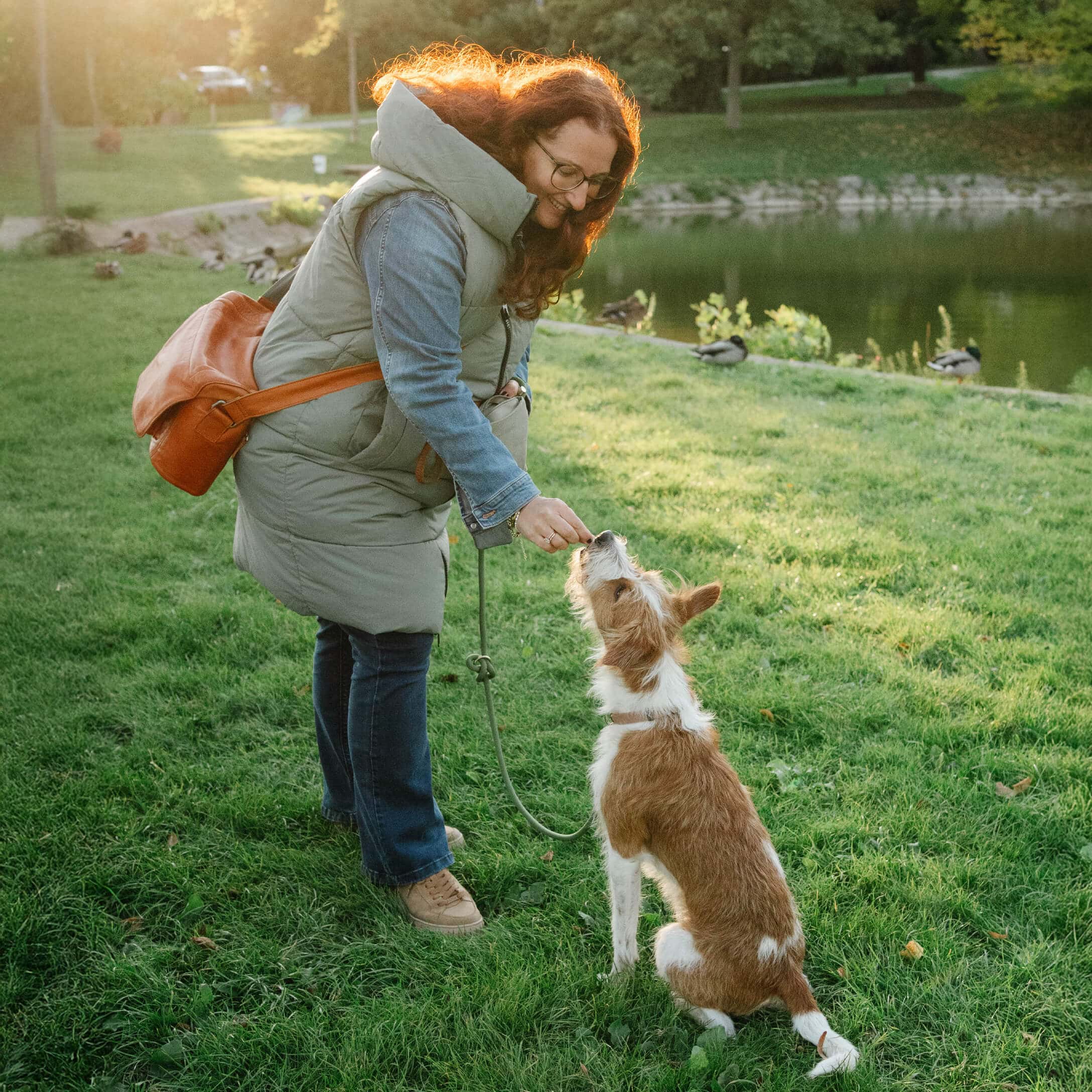 Donna con gilet verde e jeans blu dà un boccone a un cane seduto sull'erba verde in un parco