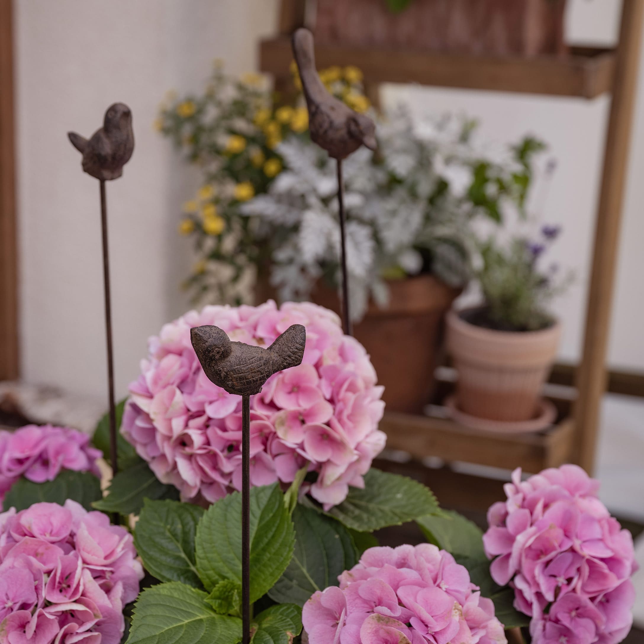 Uccellini decorativi in metallo su bastoncini tra fiori rosa di ortensia in giardino