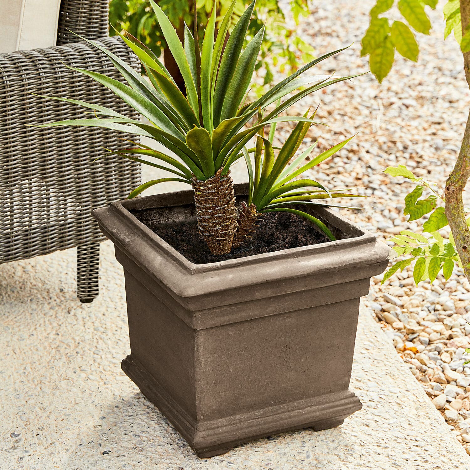 Portavaso Magnum