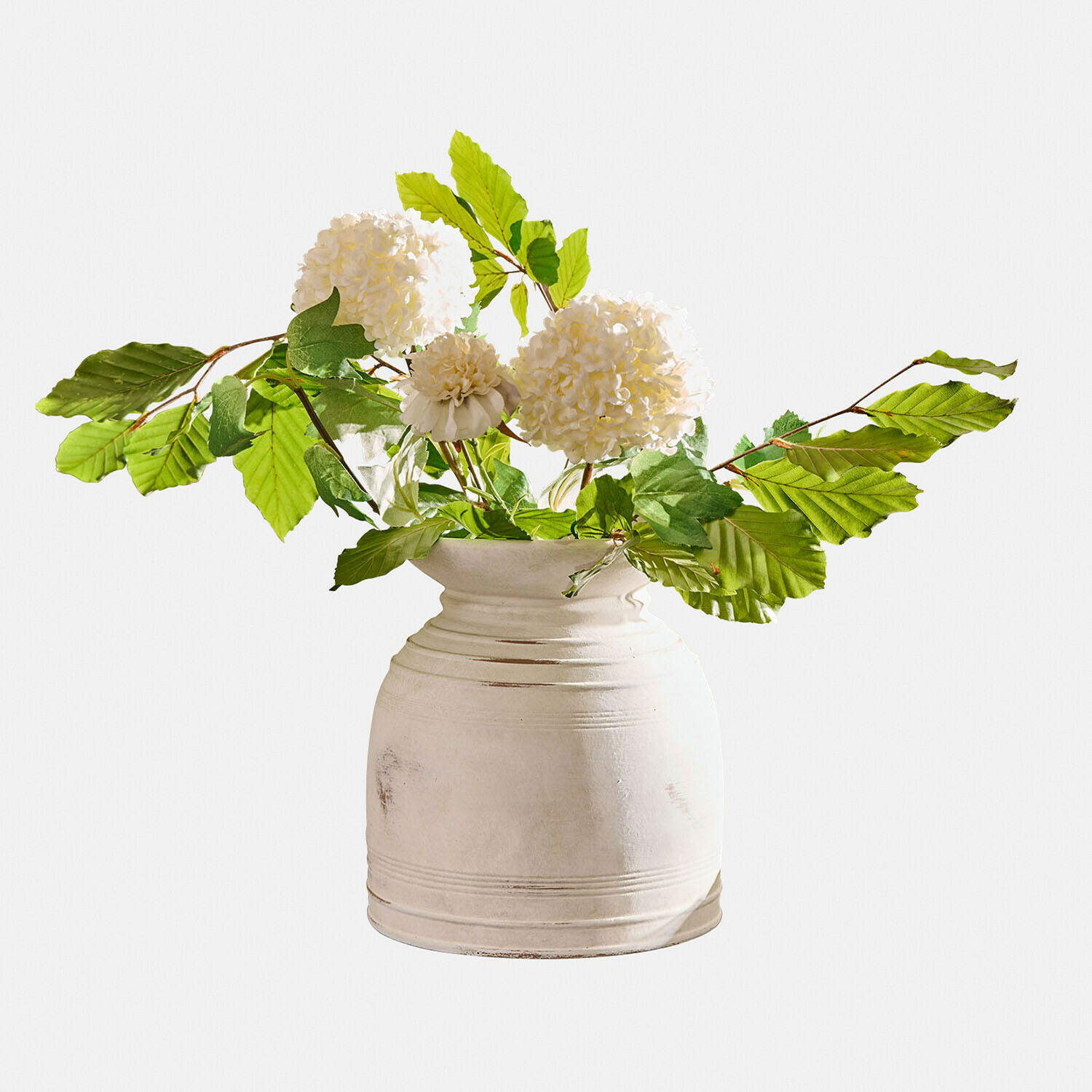 Vaso Niverana