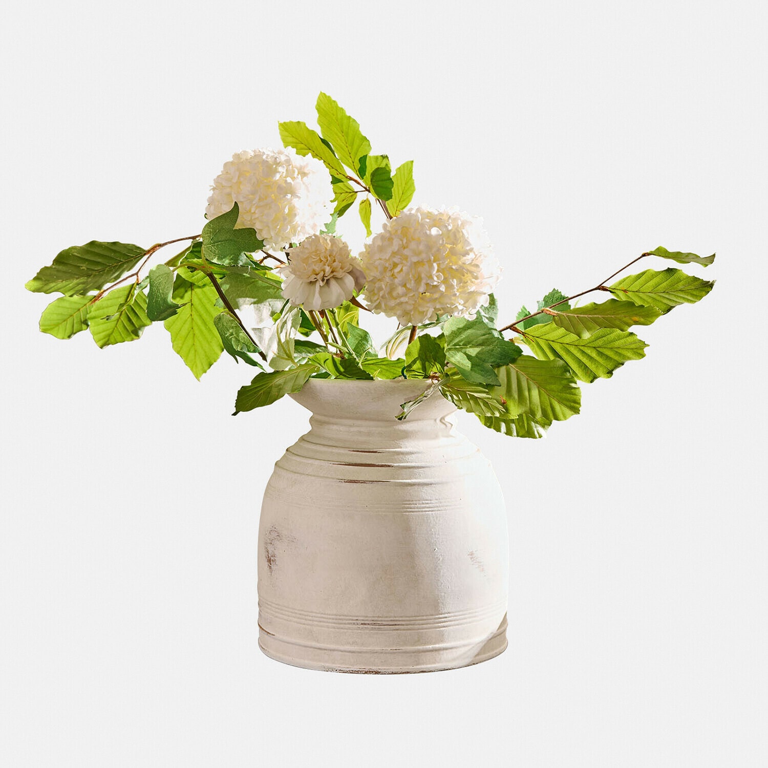 Vaso Niverana