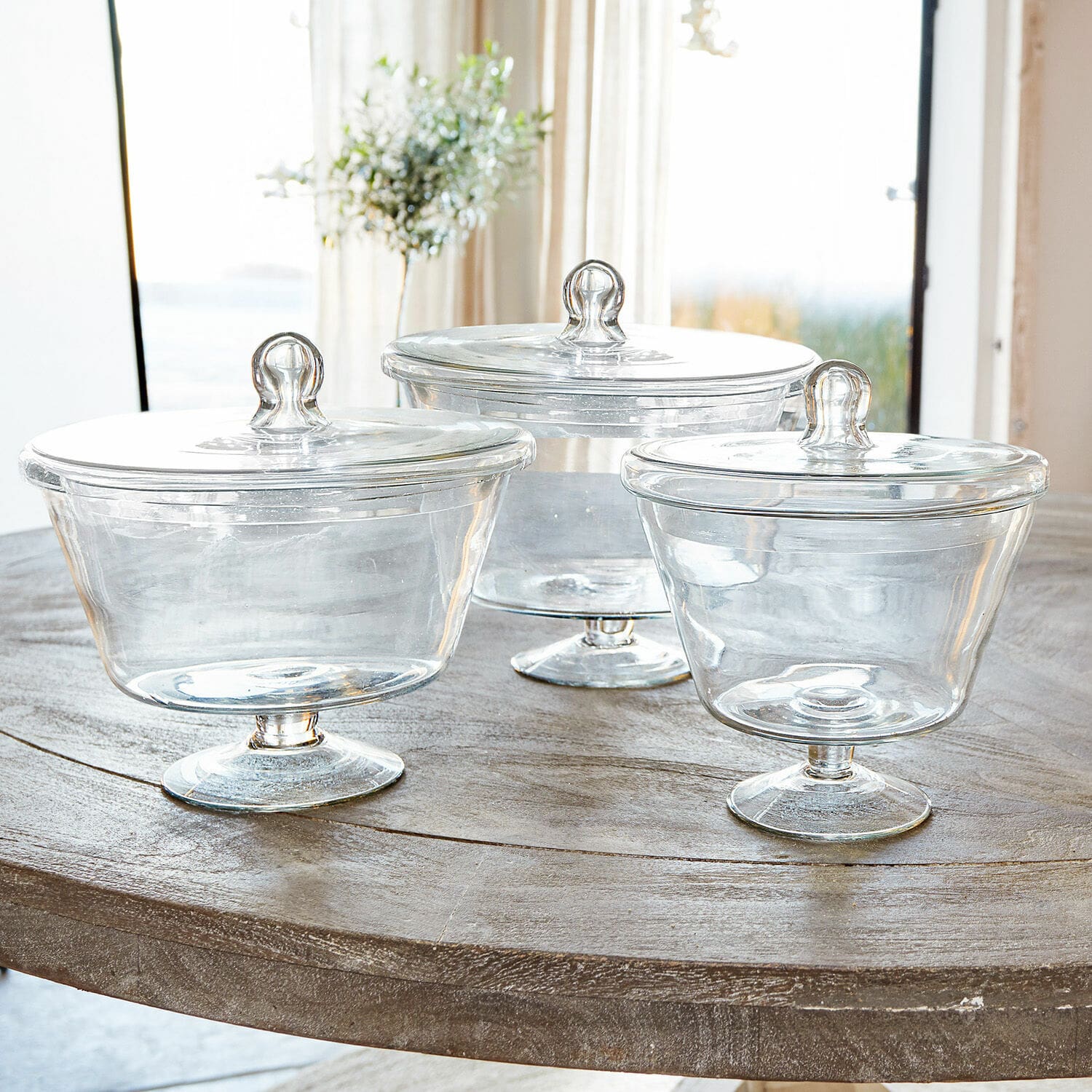 Set di 3 barattoli Elliant