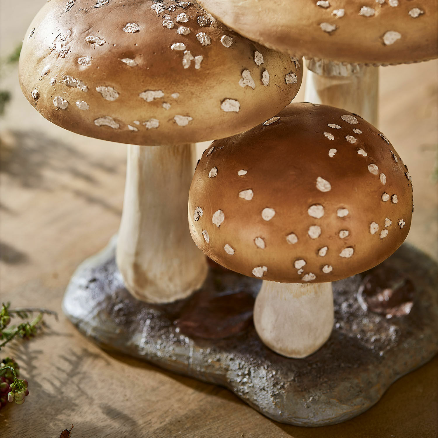 Funghi decorativi Harvelle