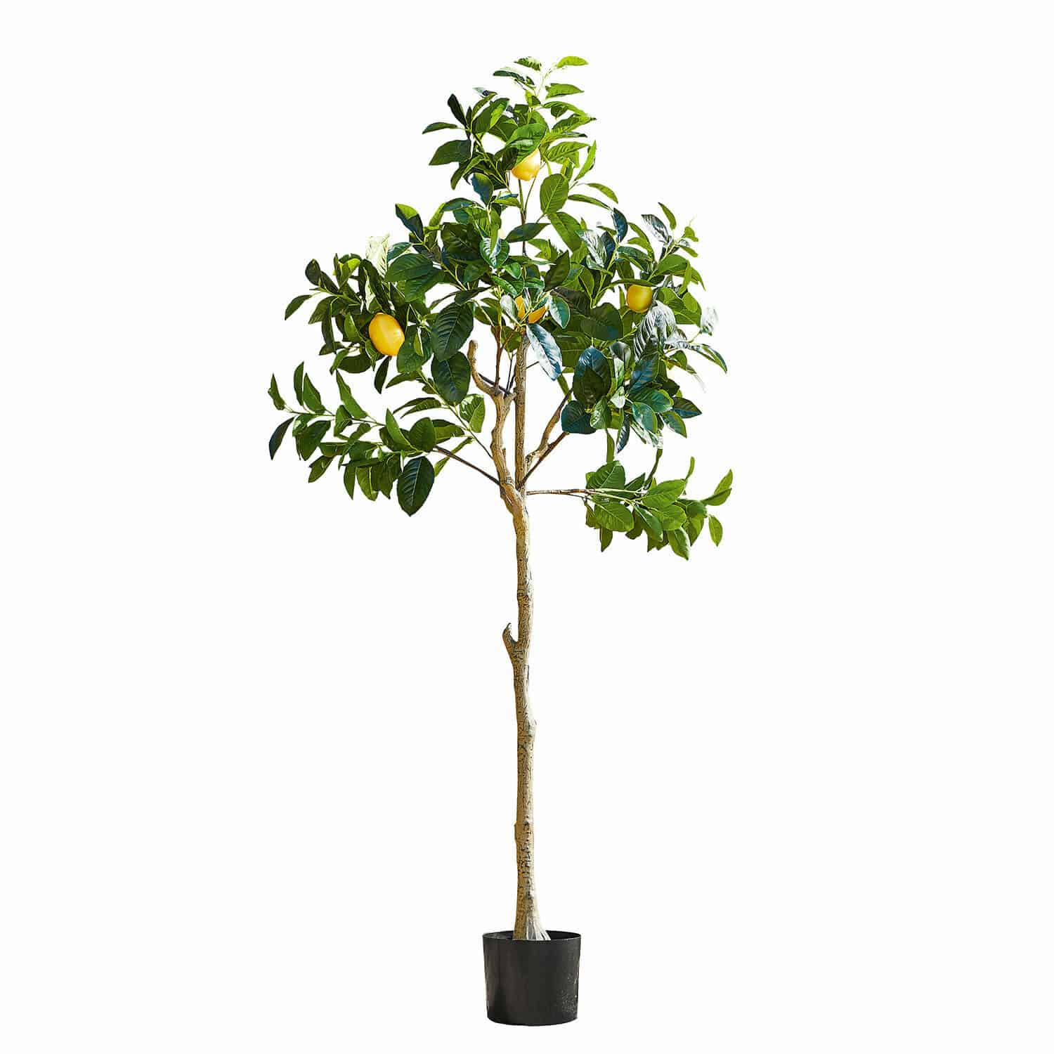Albero decorativo Darfield