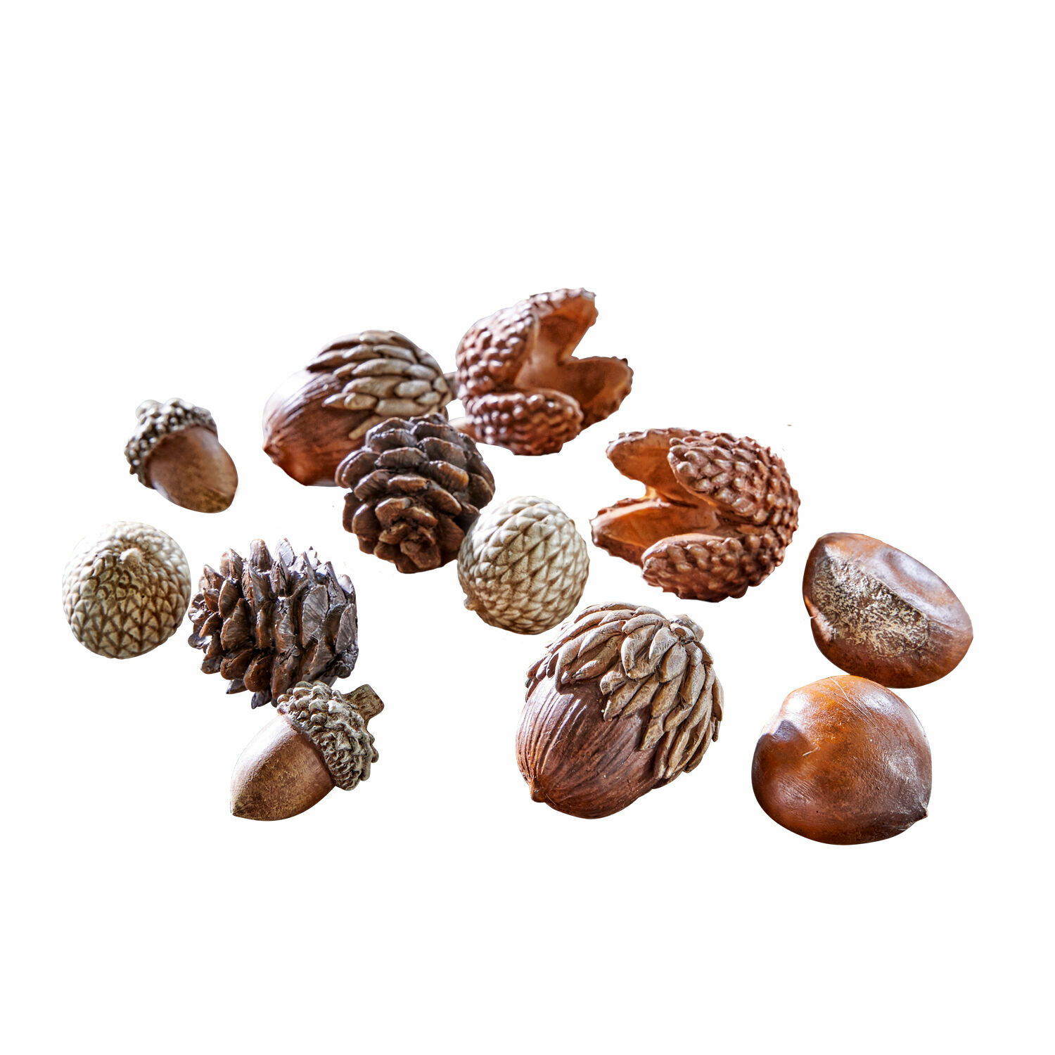 Set di 12 decorazioni autunnali Vibius Set decorativo di noci e pigne in tonalità marroni naturali su sfondo bianco
