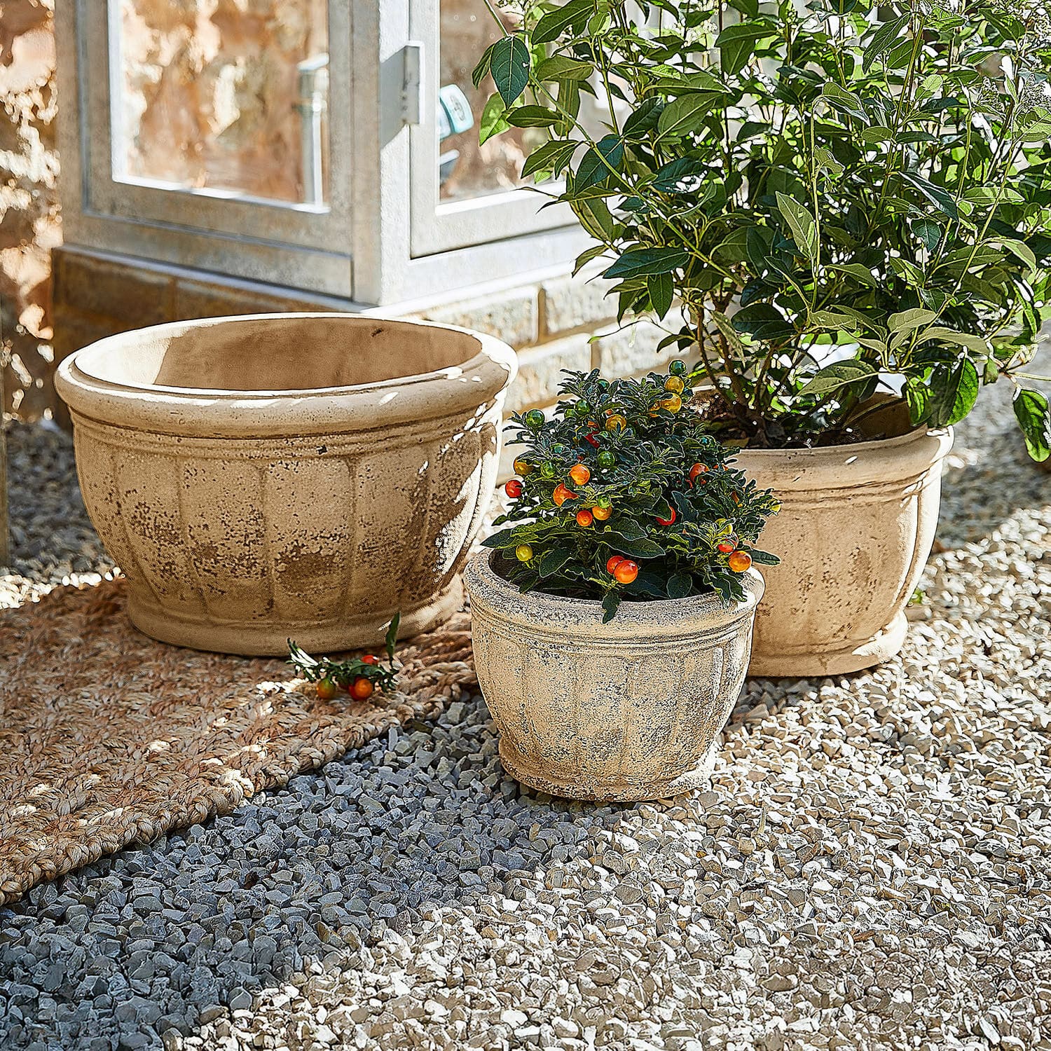 Set di 3 portavasi Jalexin Tre vasi in terracotta beige su ghiaia, due con piante decorative e frutti colorati