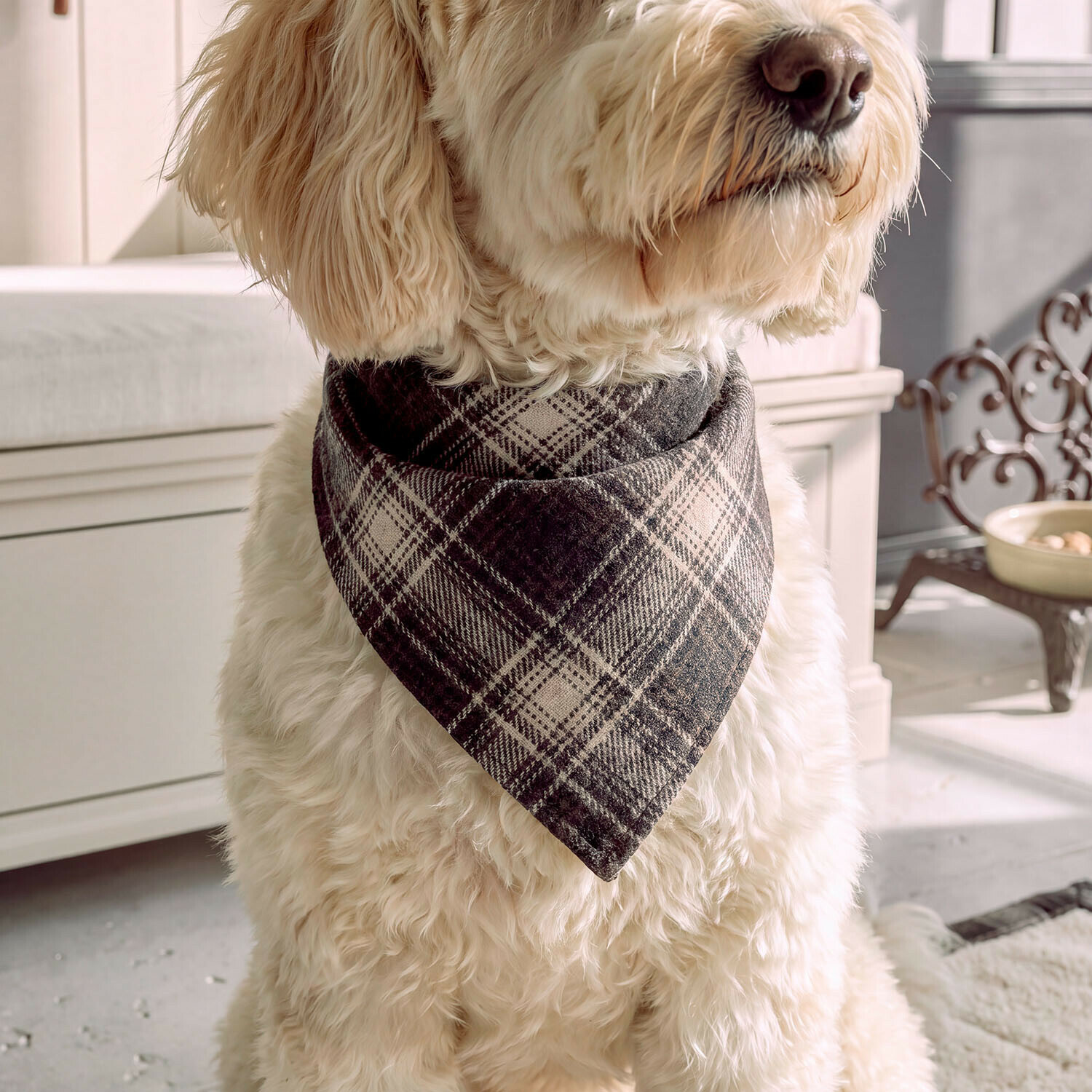 Foulard per cani Darello Foulard per cani Darello