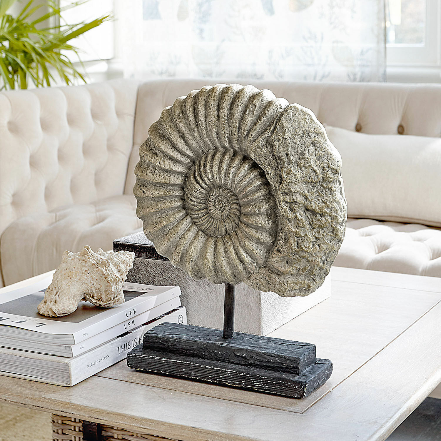 Oggetto decorativo Dewey Scultura decorativa di ammonite in pietra su base nera su tavolino in soggiorno