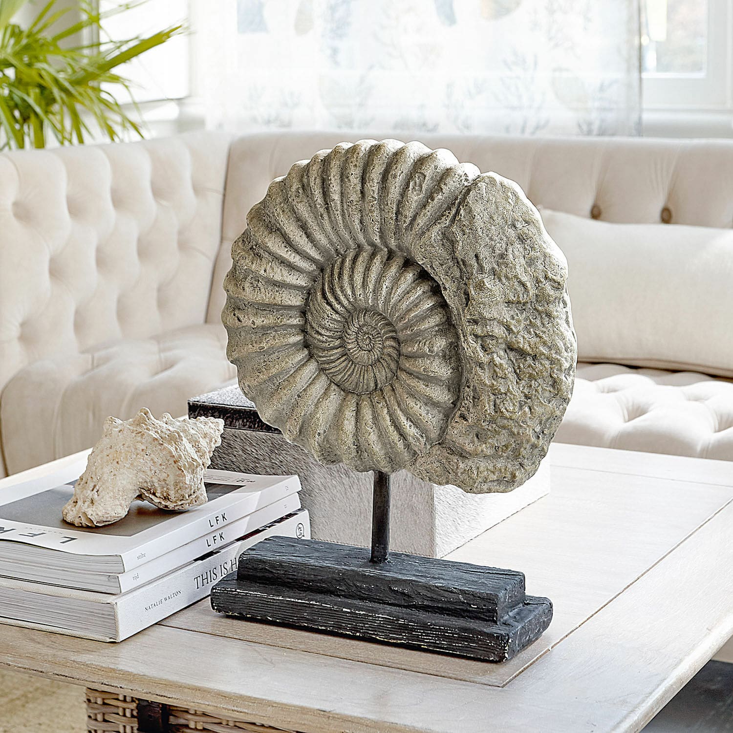 Oggetto decorativo Dewey Scultura decorativa di ammonite in pietra su base nera su tavolino in soggiorno