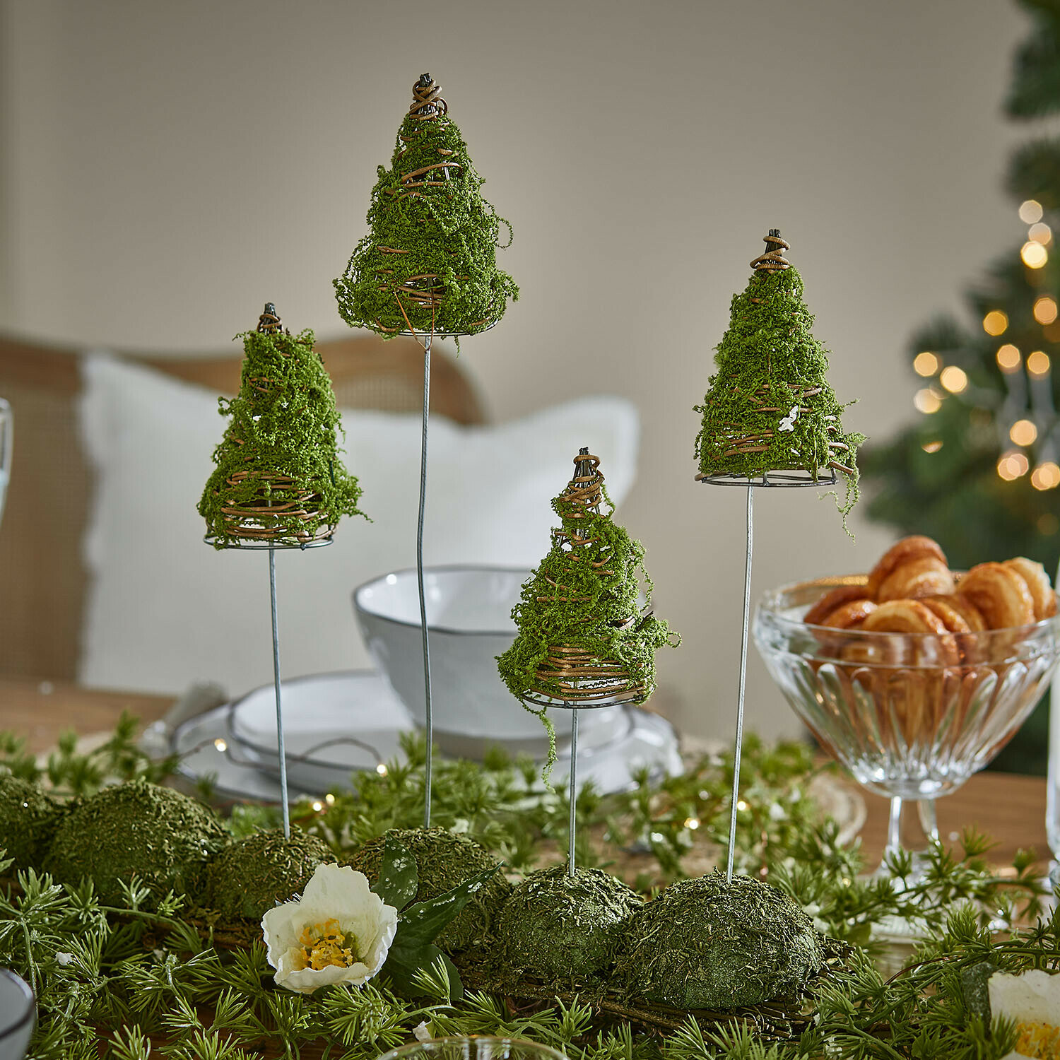 Set di 4 alberi decorativi Cassiola
