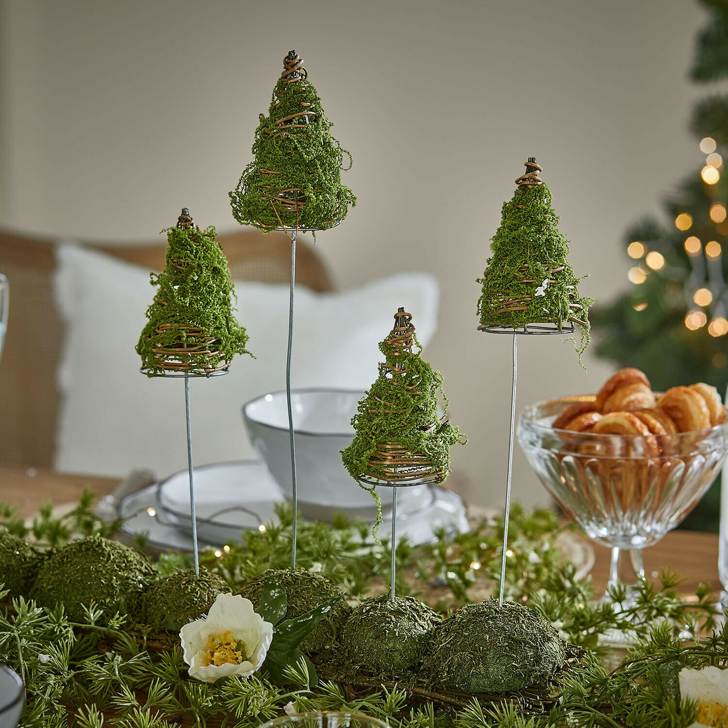 Set di 4 alberi decorativi Cassiola