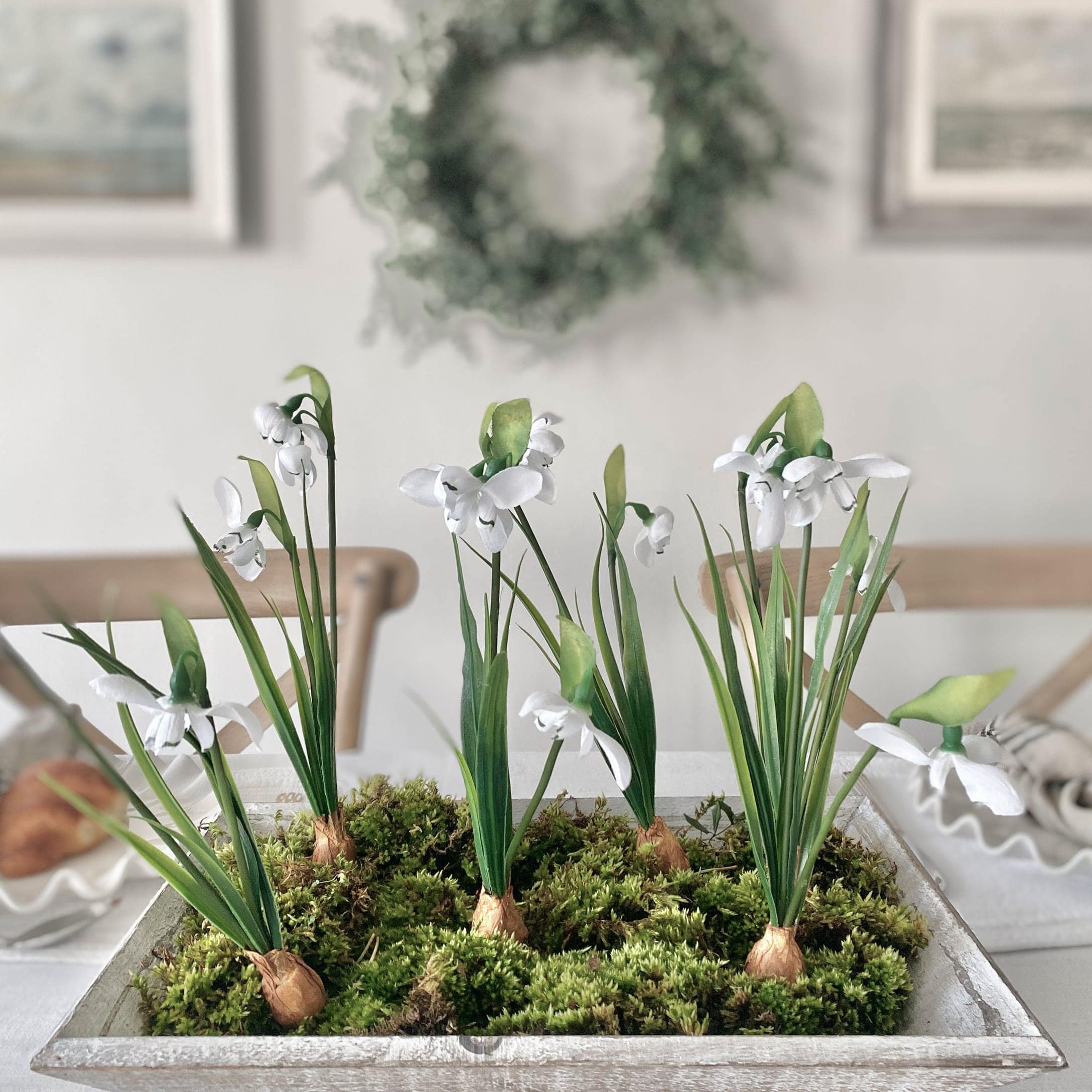 Fiori bianchi di bucaneve con foglie verdi su muschio in vaso decorativo di legno