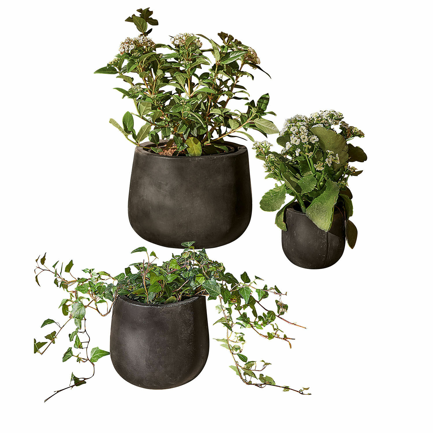 Set di 3 portavasi Sunvale