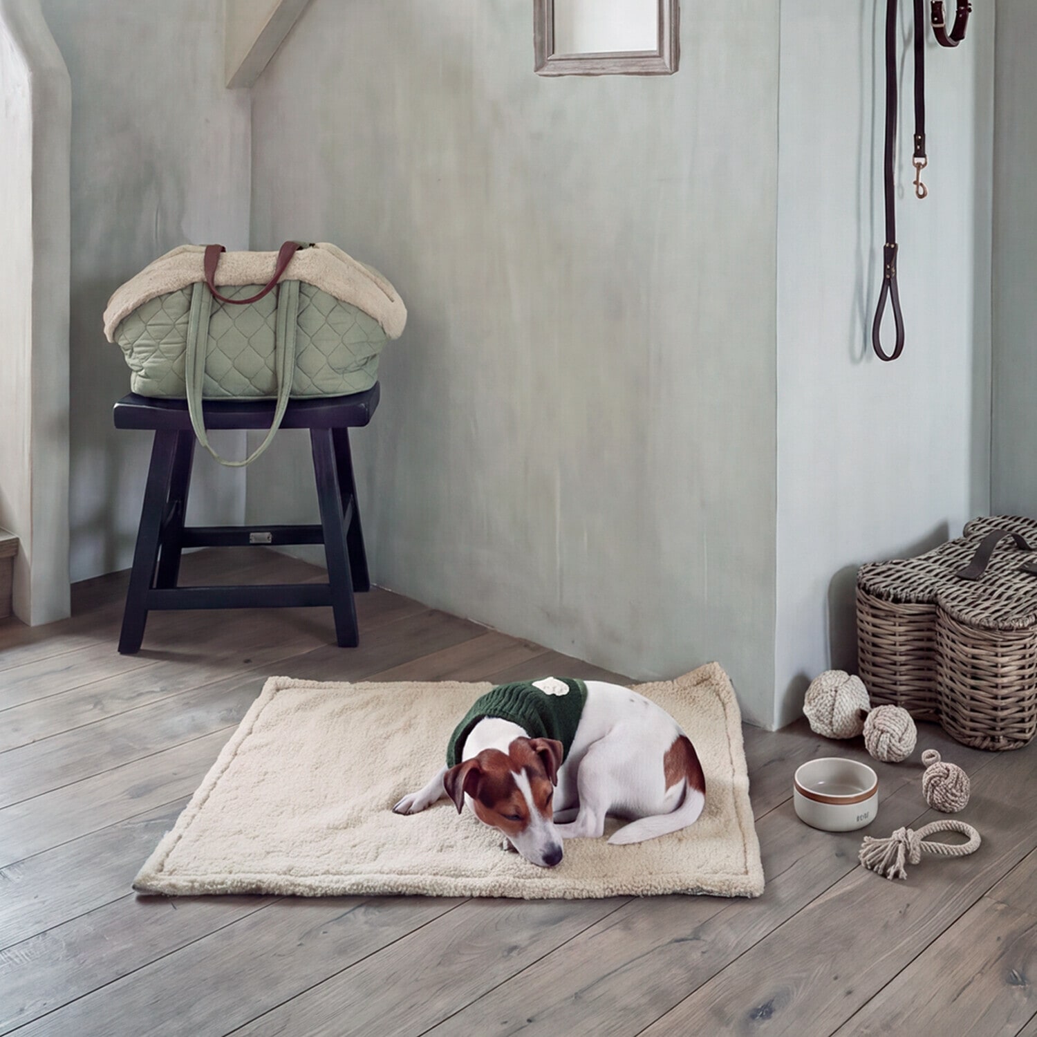 Foulard per cani Jovini