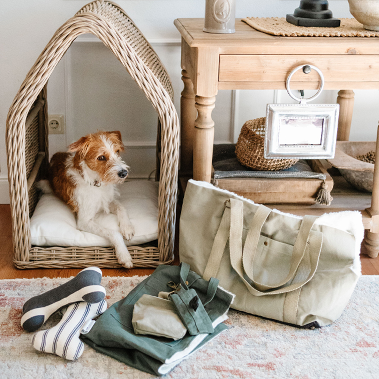 Vita da cani… ma con stile