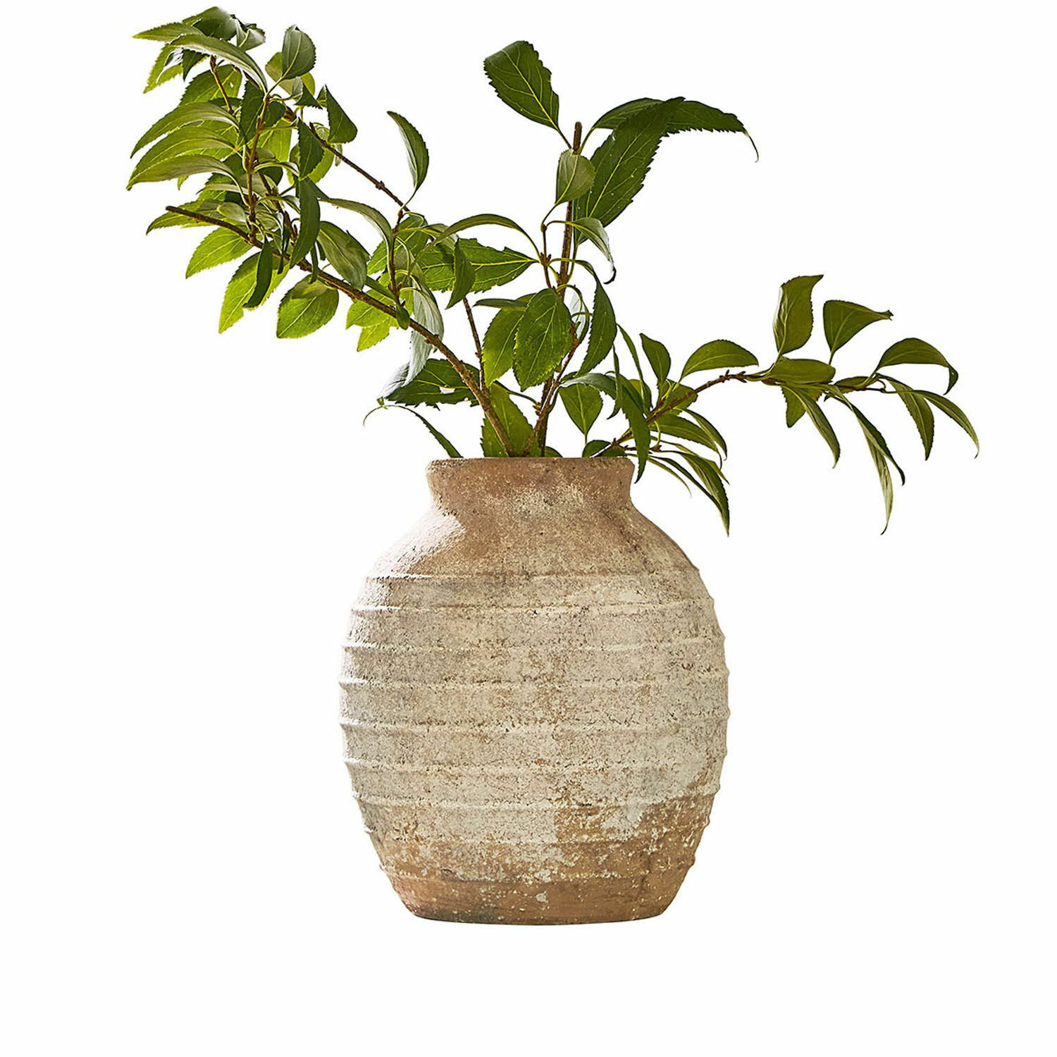 Vaso Sibinna Vaso rustico in ceramica beige con foglie verdi, decorazione naturale per interni