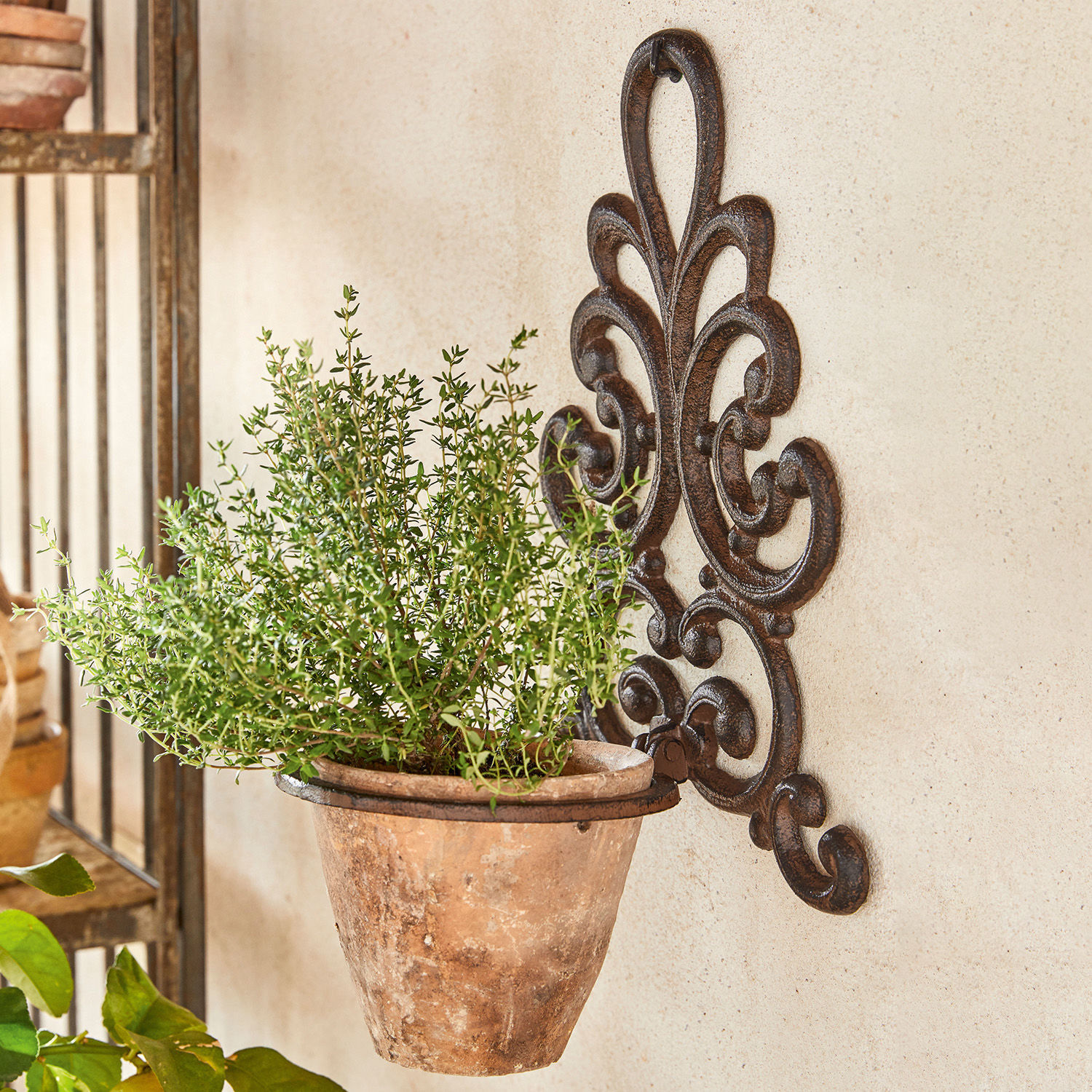 Supporto per vasi Cecile Vaso rustico in terracotta appeso a supporto da parete in metallo decorativo per erbe e piante.