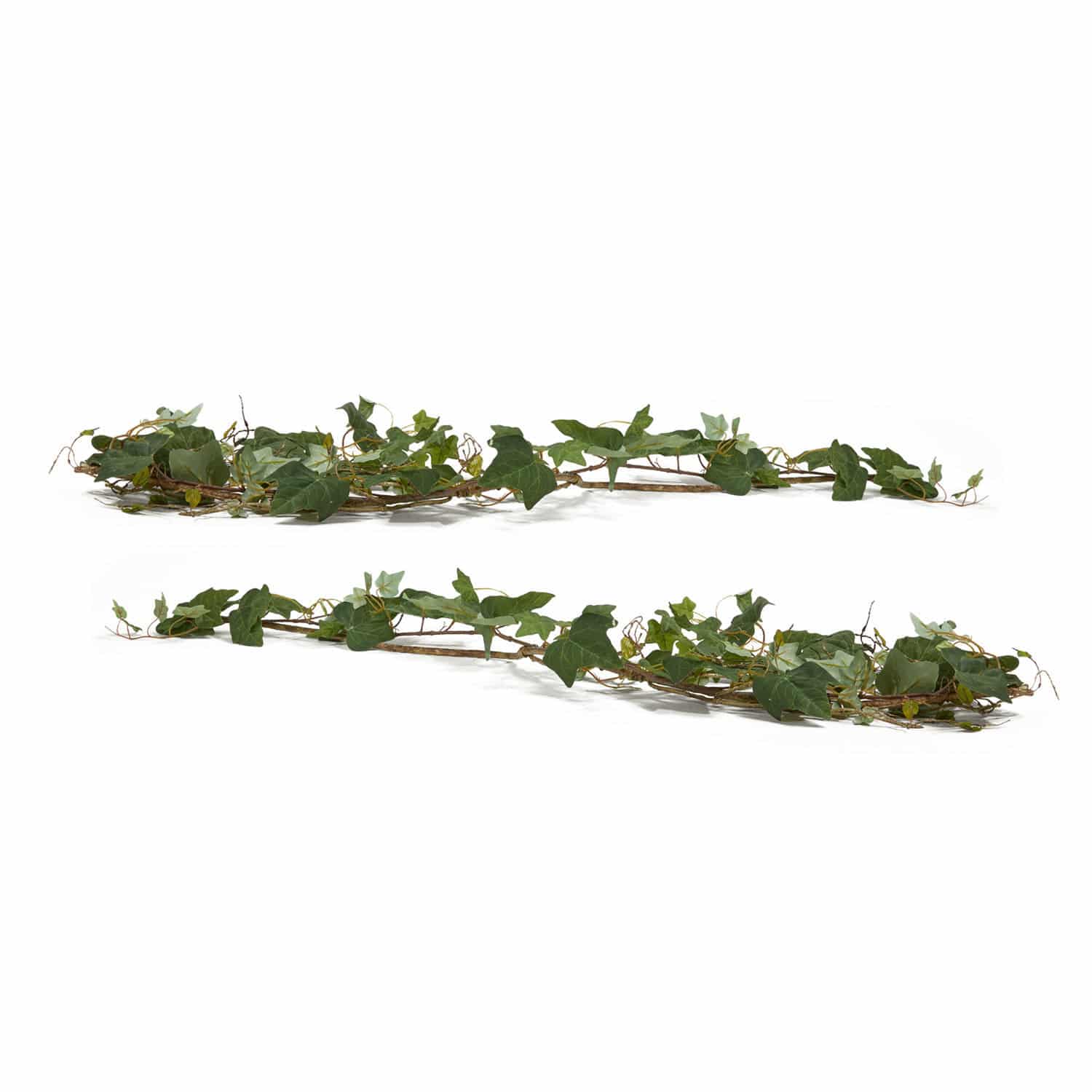 Coppia di rampicanti decorativi Plaisance