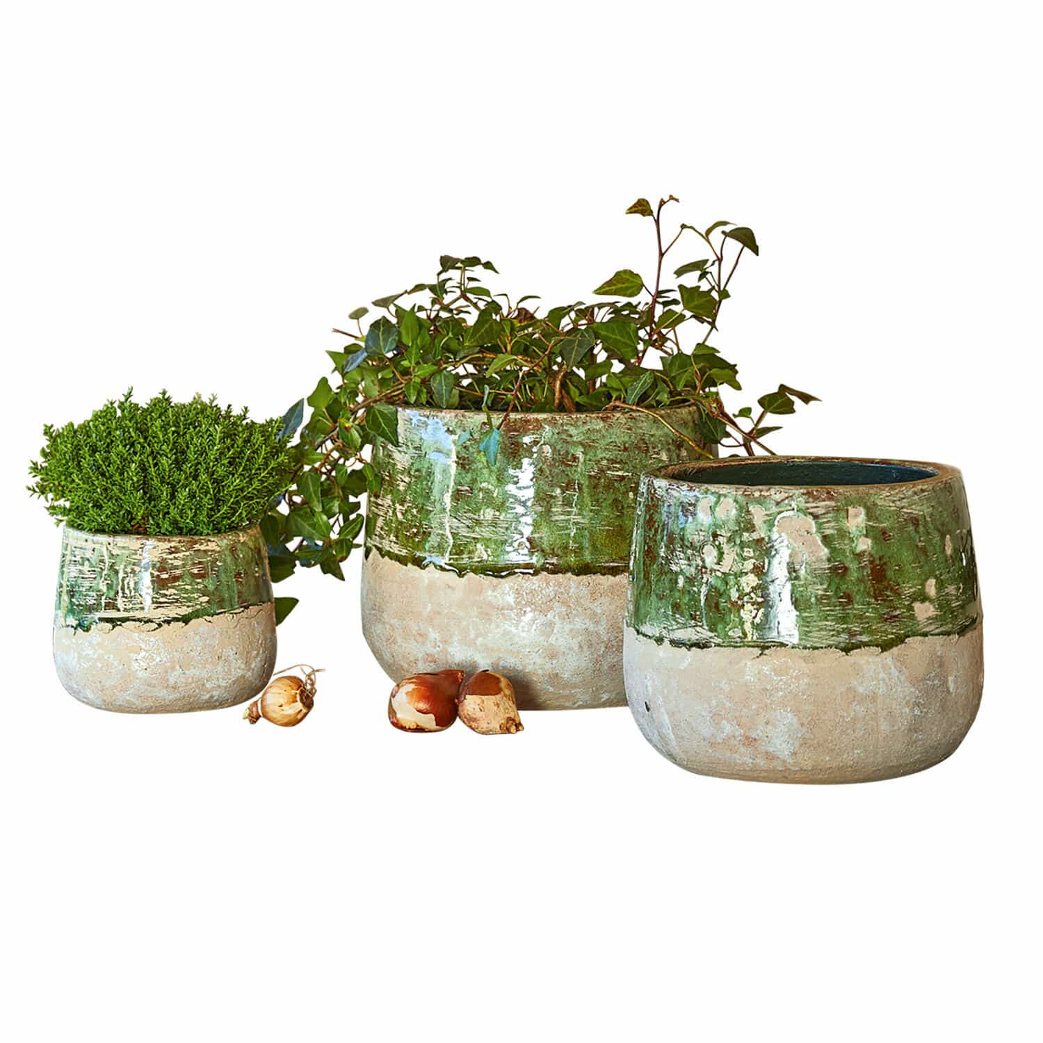 Set di 3 portavasi Reefton Set di tre vasi in ceramica verde e beige con piante e bulbi di fiori