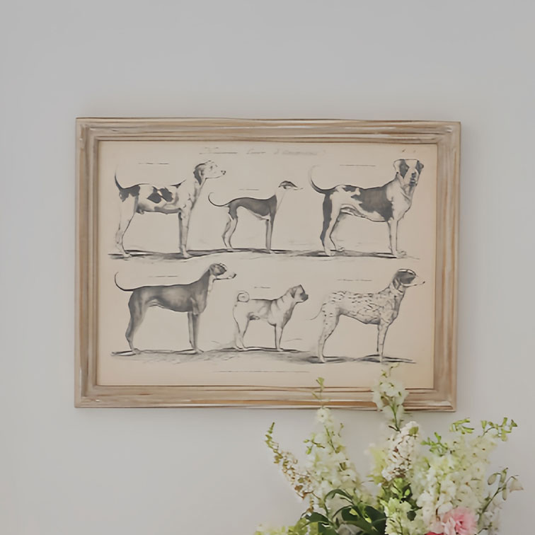 Disegno incorniciato di sei razze di cani in bianco e nero appeso alla parete con fiori in basso
