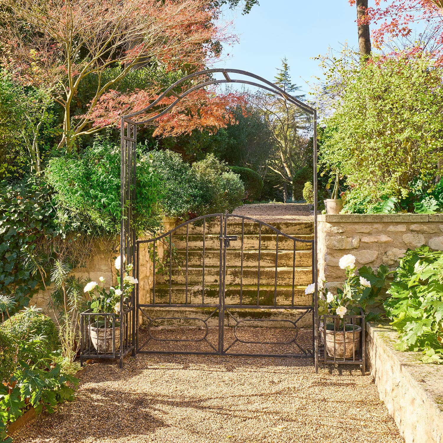 Arco di rose Donnérie Cancello da giardino in metallo con arco e vasi con fiori bianchi davanti a scalini in pietra e vegetazione