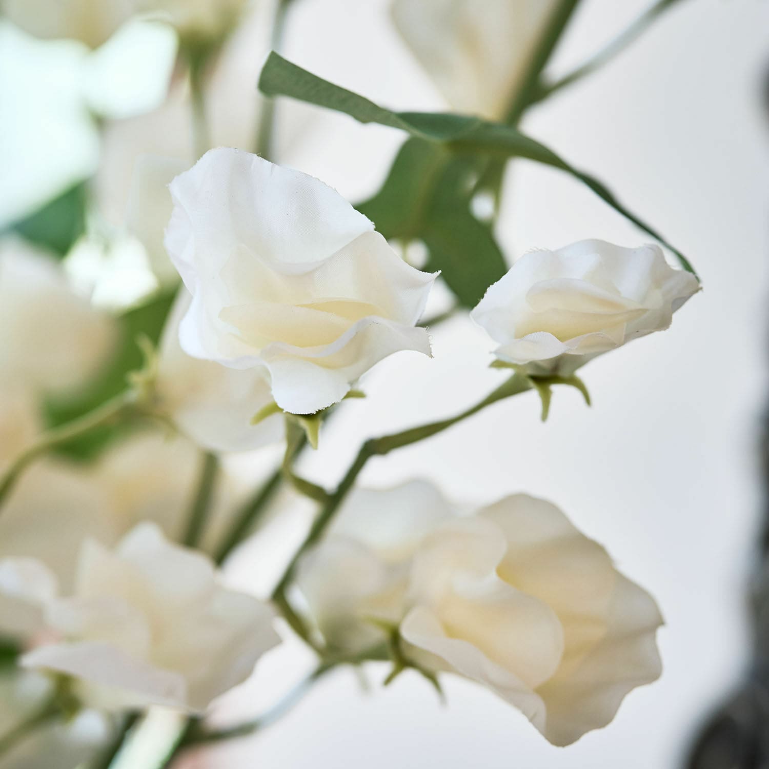 Set di 6 fiori Clavigny