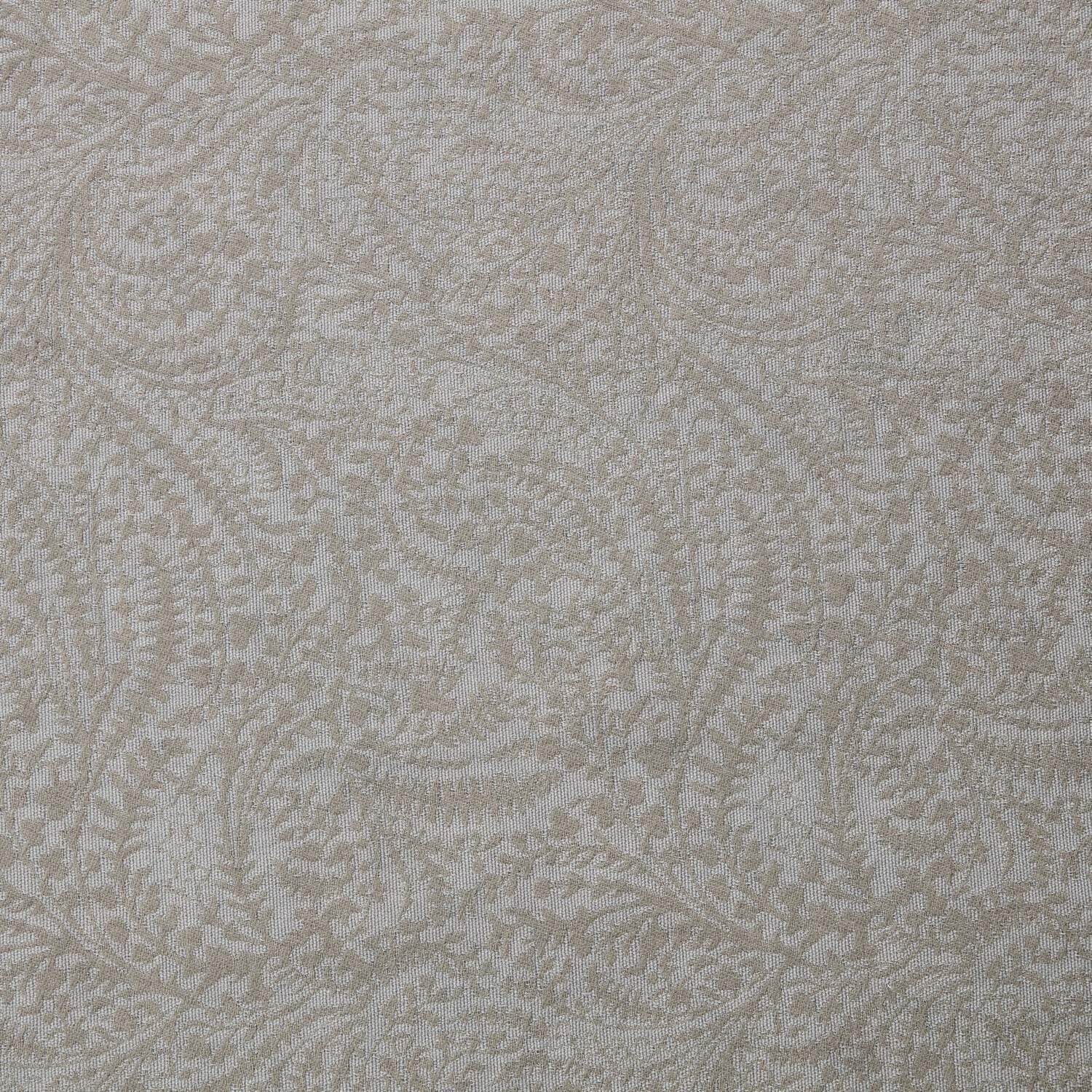 Coperta Ysolenne