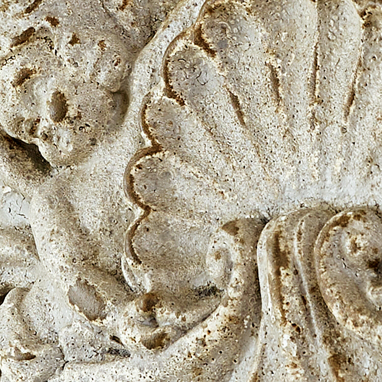 Ornamento da parete Gordian