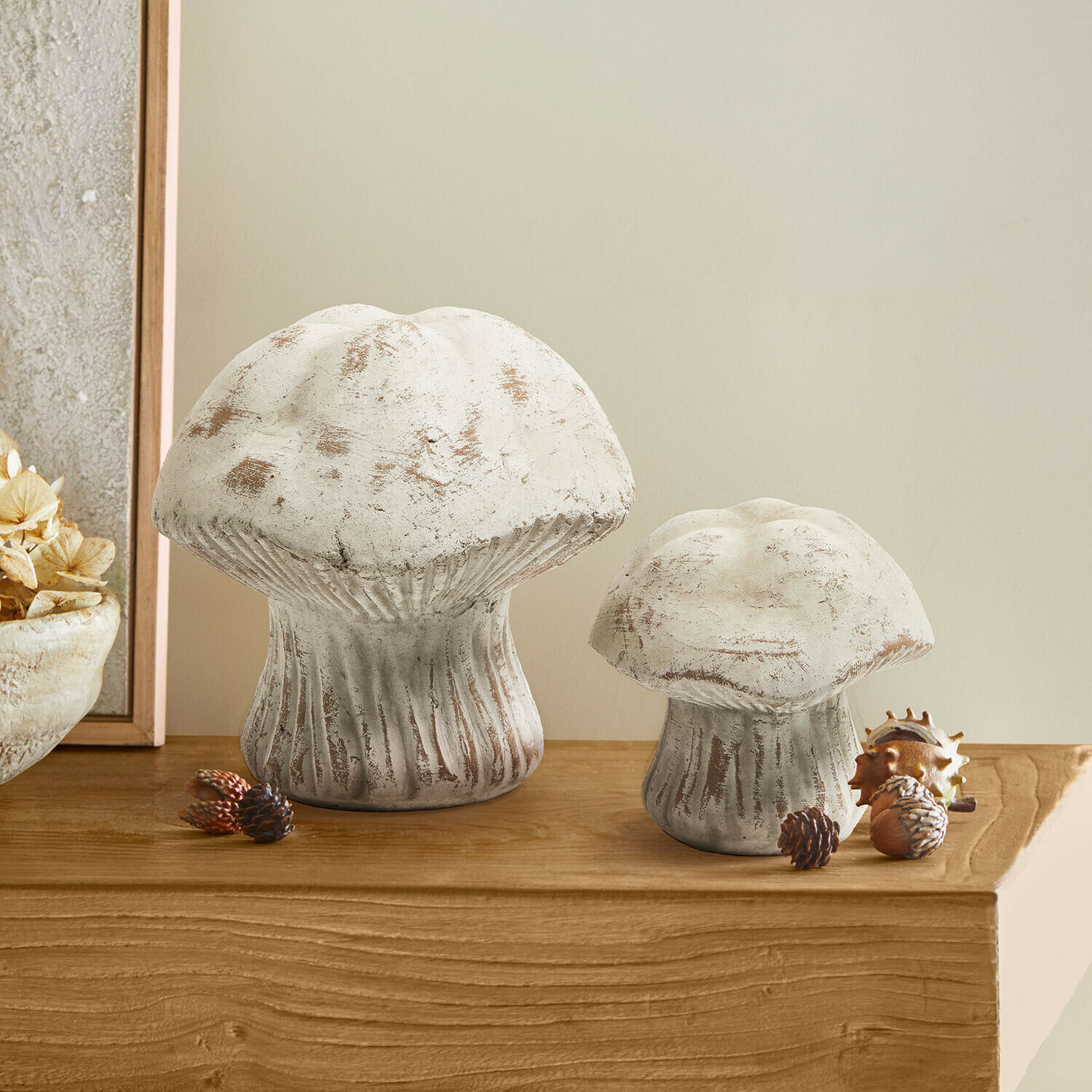 Coppia di funghi decorativi Tannsy