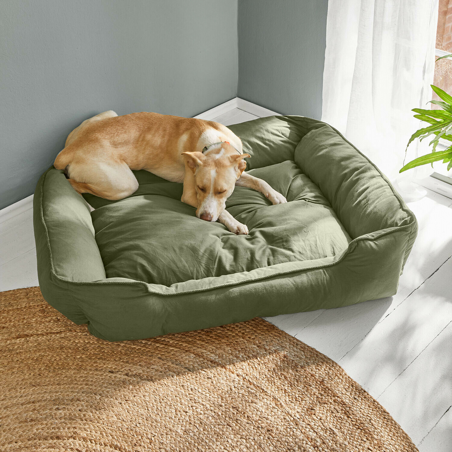 Cuccia per animali Ivandelle