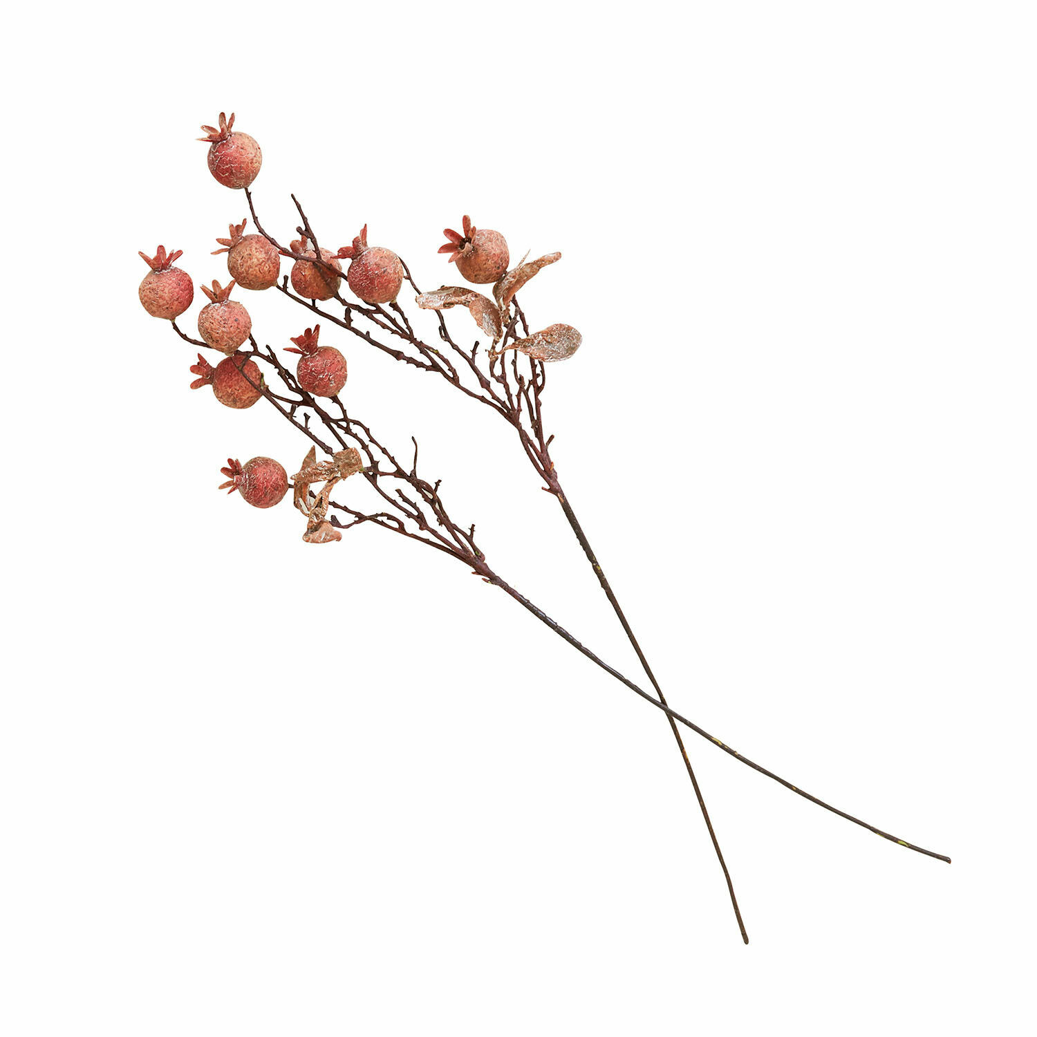 Coppia di rami decorativi Salviero