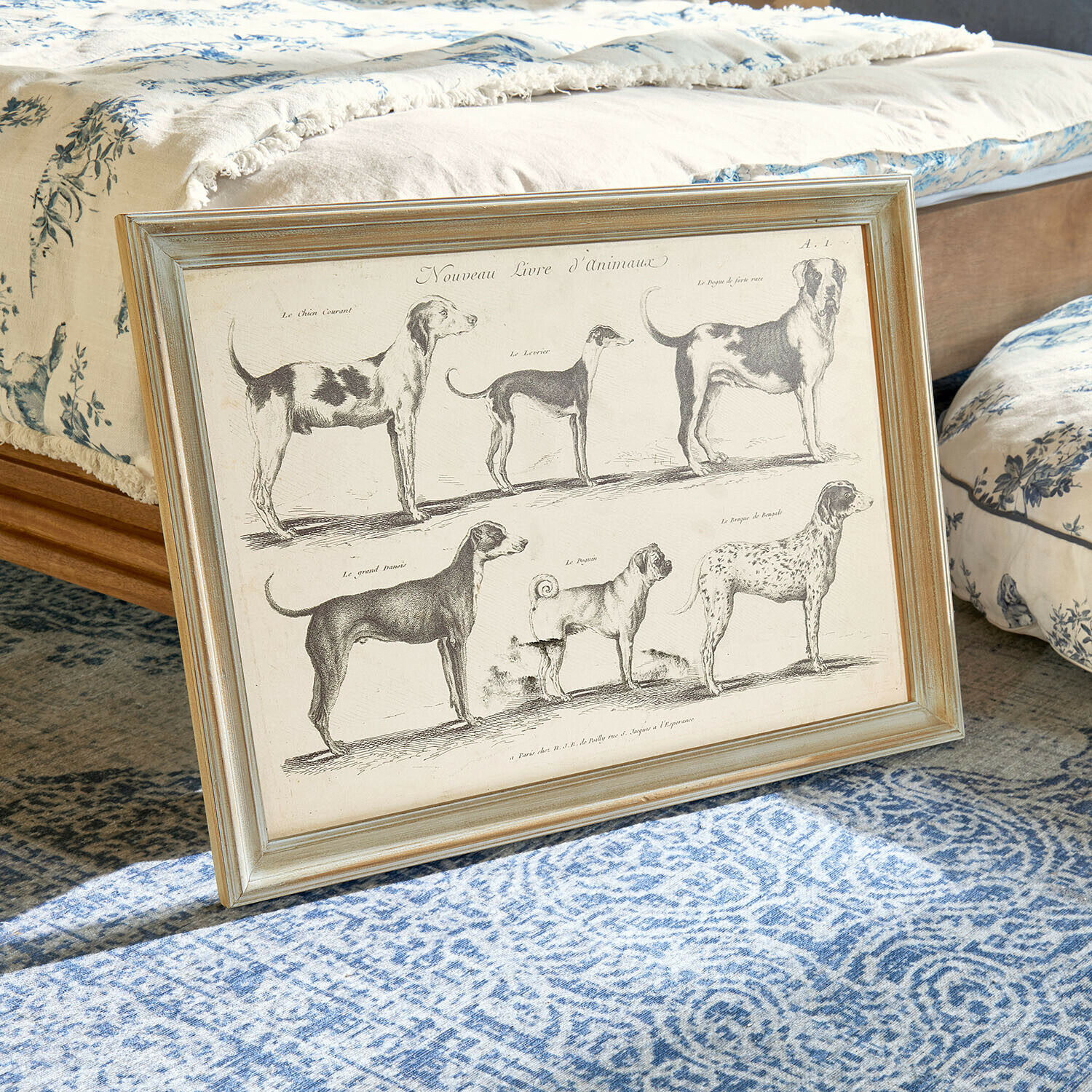 Quadro incorniciato con illustrazioni vintage di sei razze di cani su sfondo beige su tappeto blu
