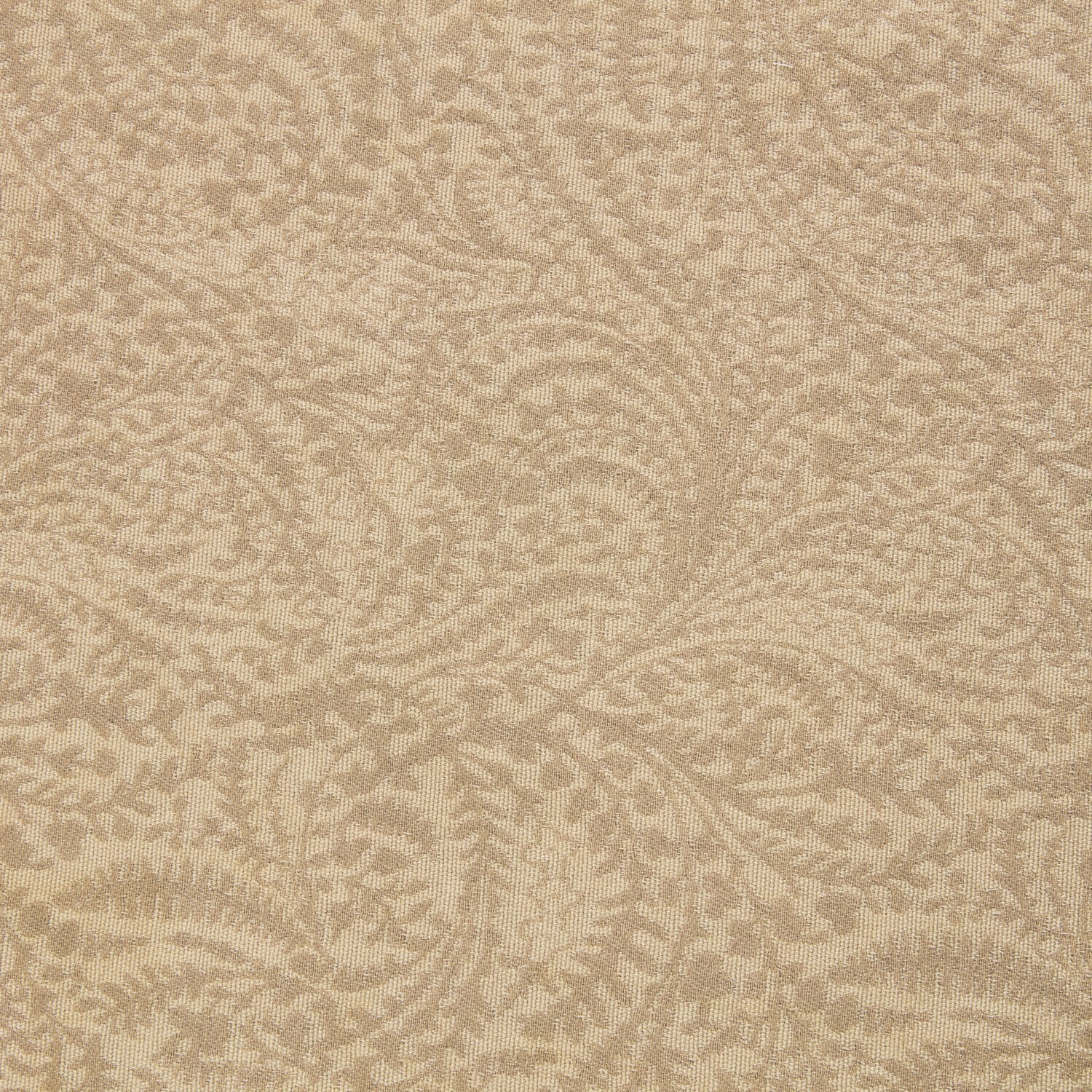 Coperta Ysolenne