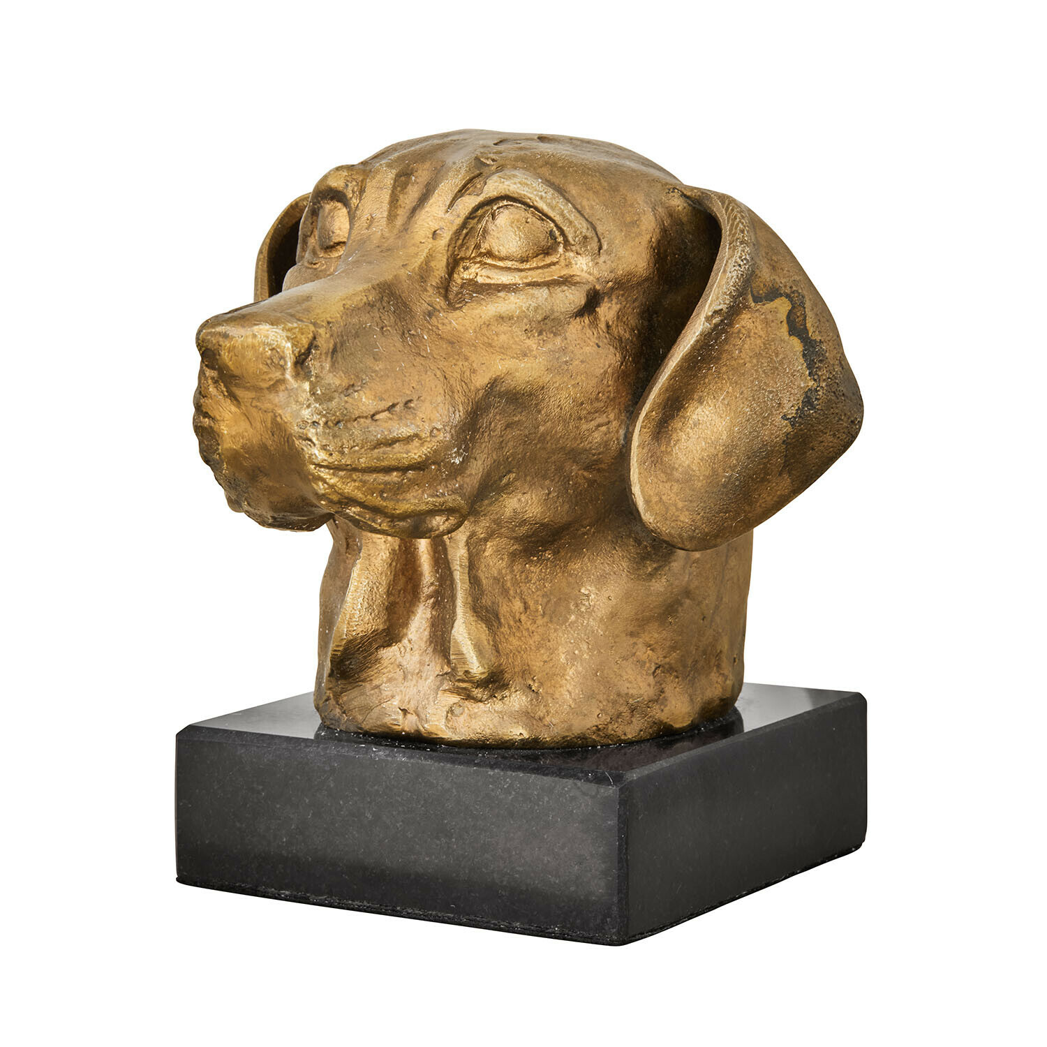 Testa di cane decorativa Nareen