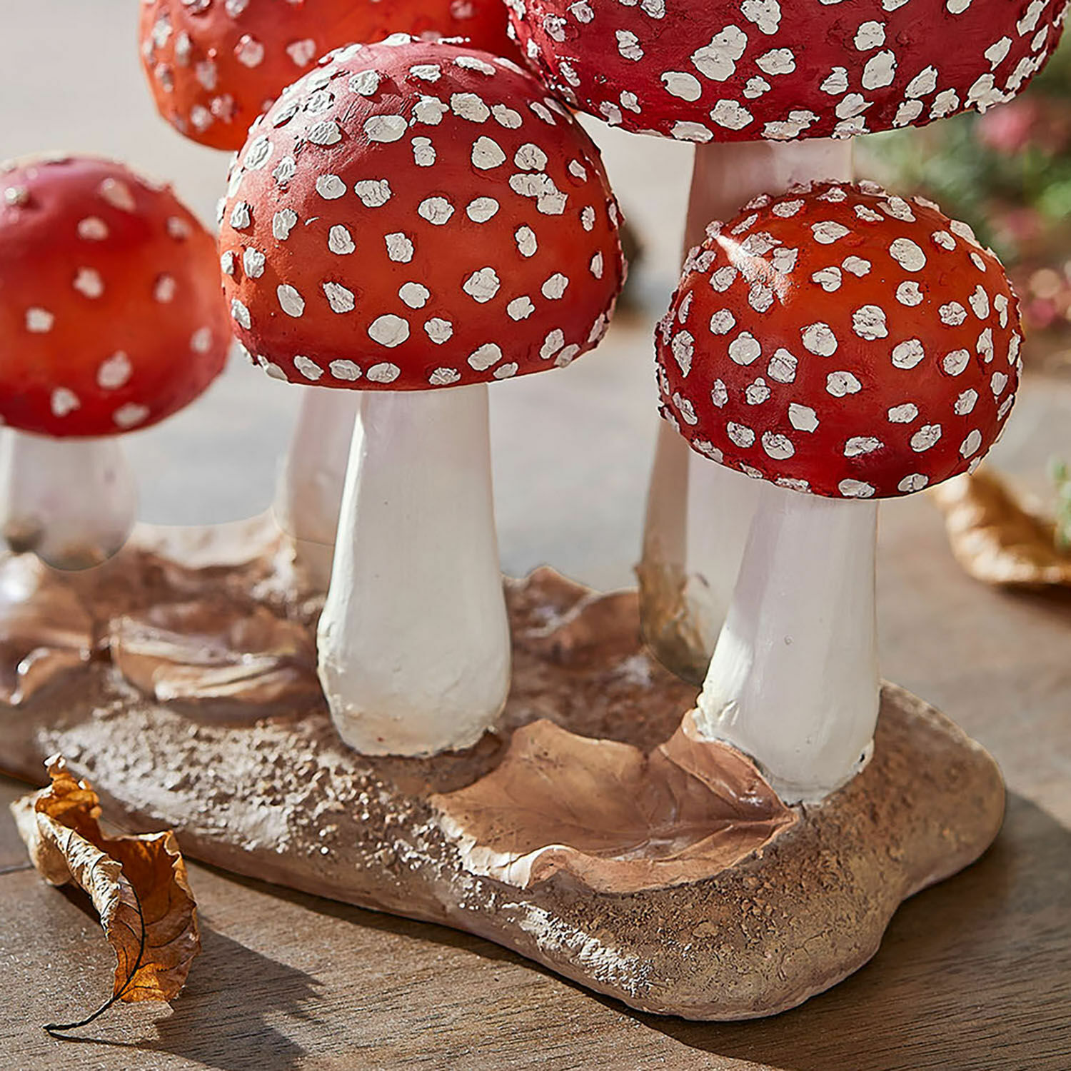 Funghi decorativi Quintelle