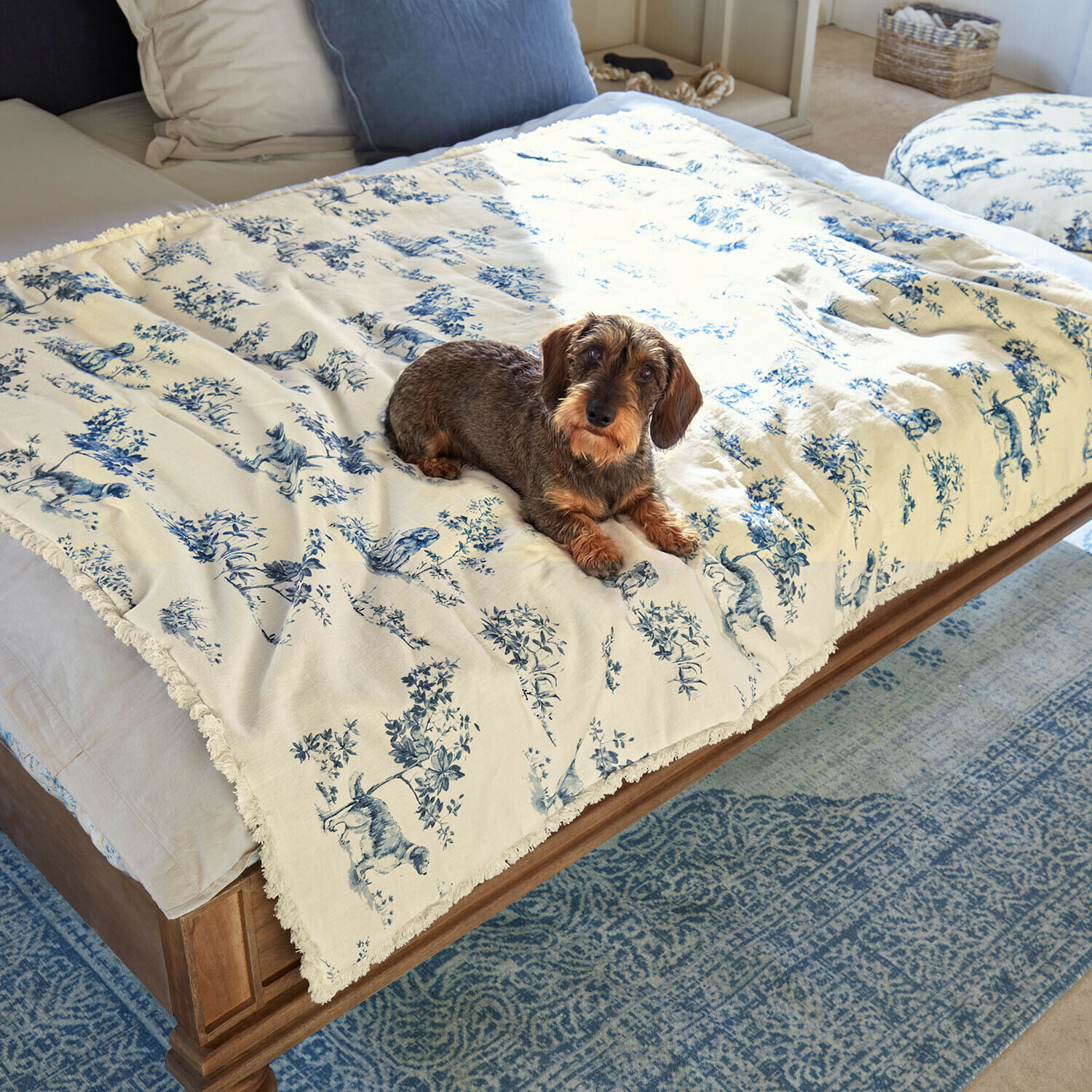 Coperta per animali Ymélorine Coperta in cotone crema con motivo animale blu su letto in legno con cane bassotto