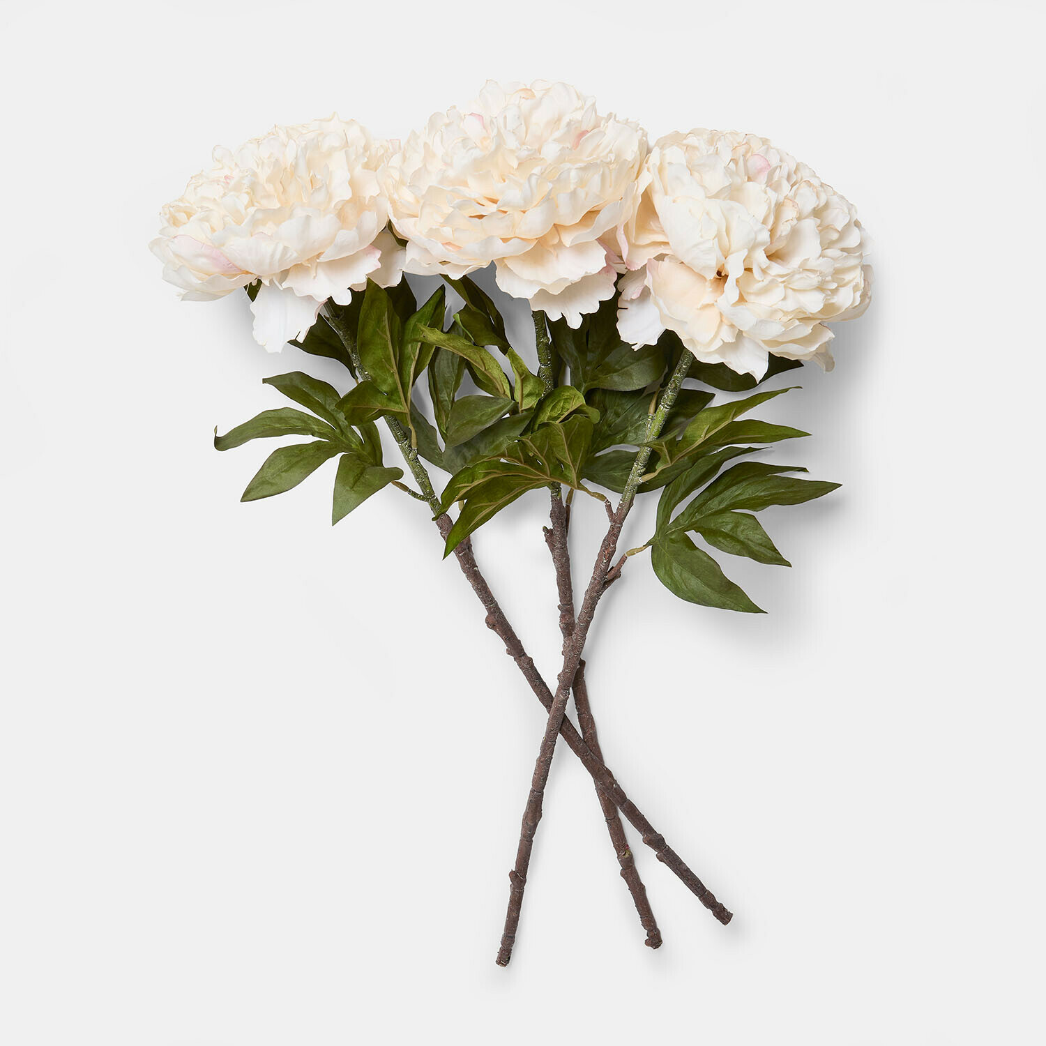 Set di 3 peonie decorative Néravelle