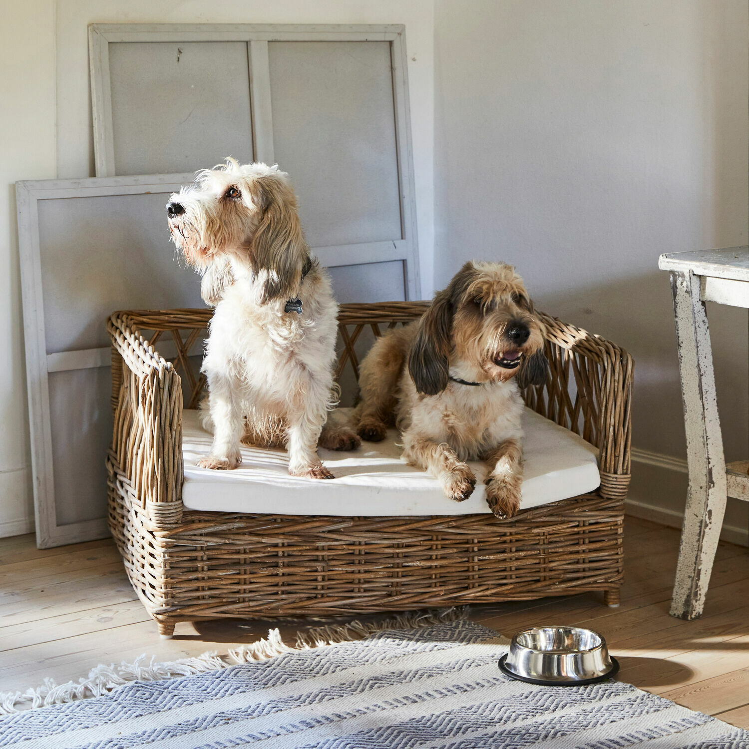 Letto per cani Cordillera