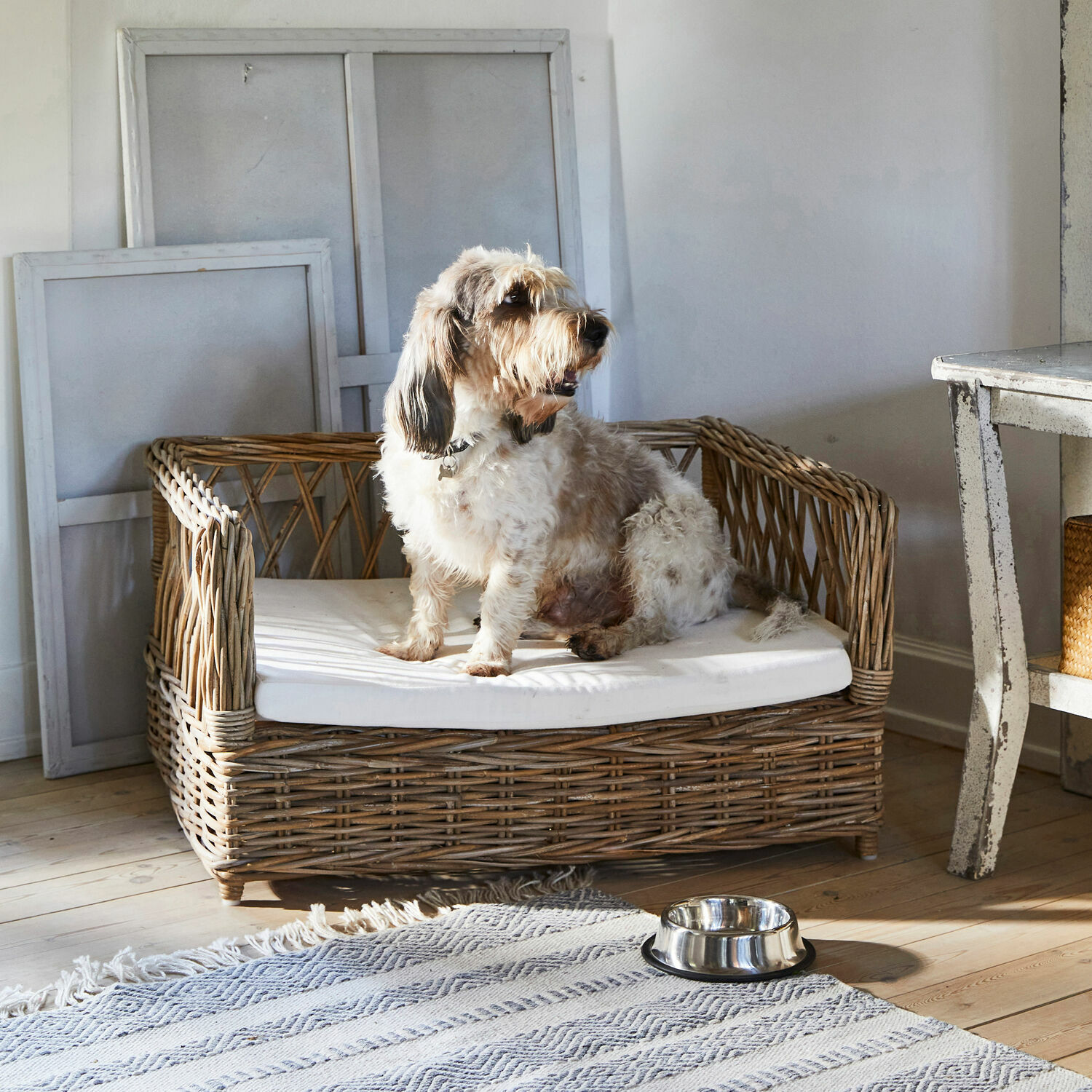Letto per cani Cordillera