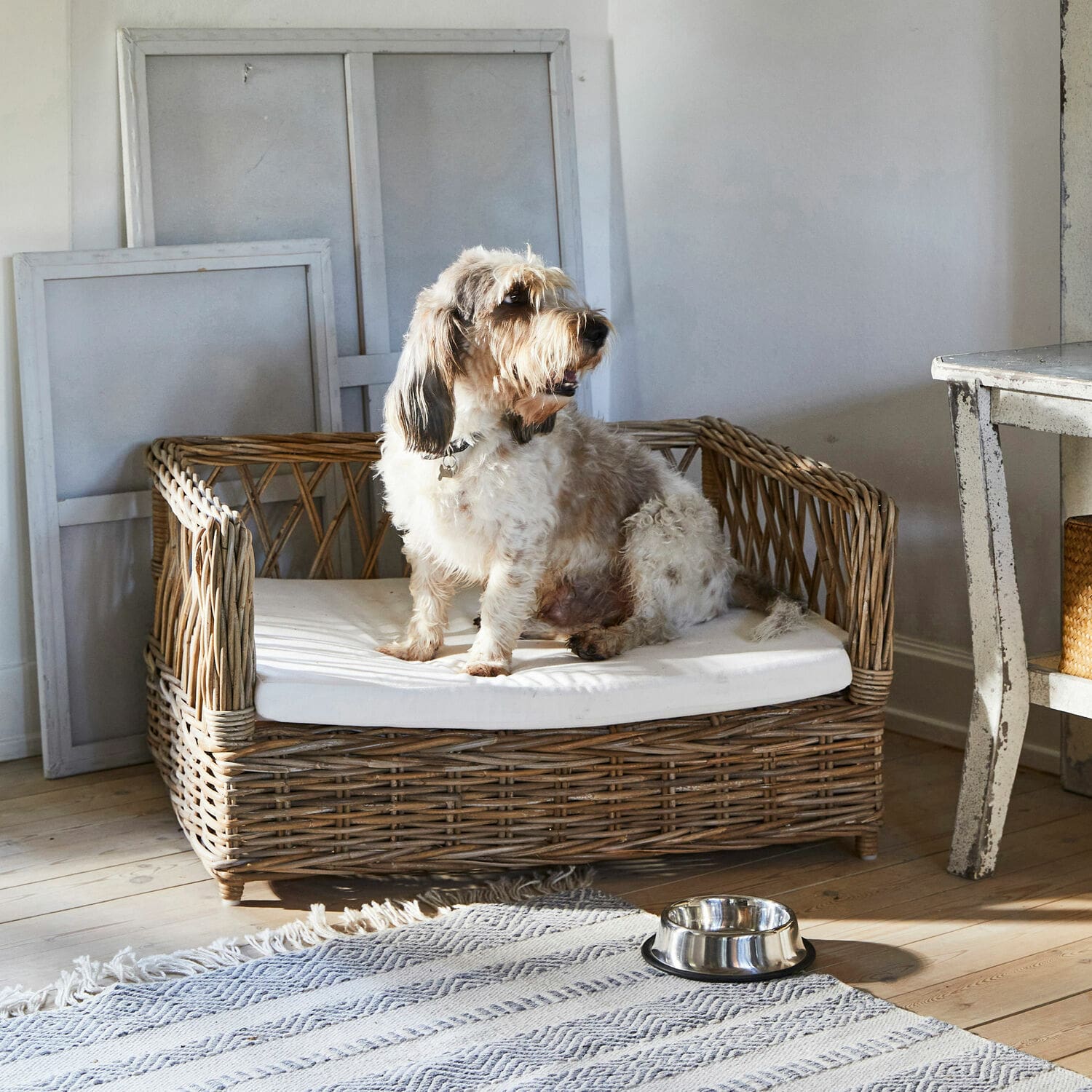Letto per cani Cordillera