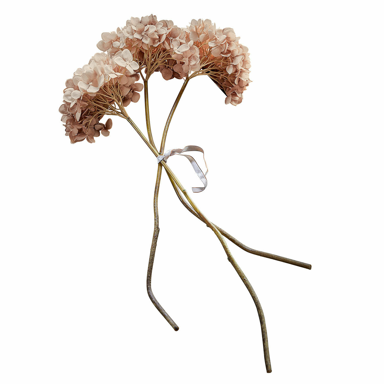 Set di 3 fiori decorativi Amarente Mazetto di fiori di ortensia essiccati beige e marroni per decorazione naturale d'interni
